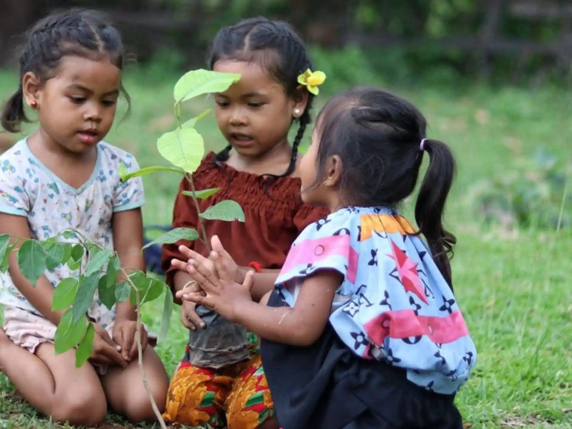 a group of young girls sitting on grass
