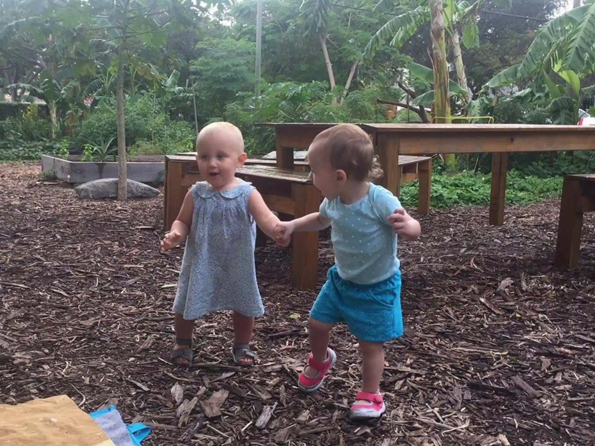 two children standing on dirt near a fence and trees