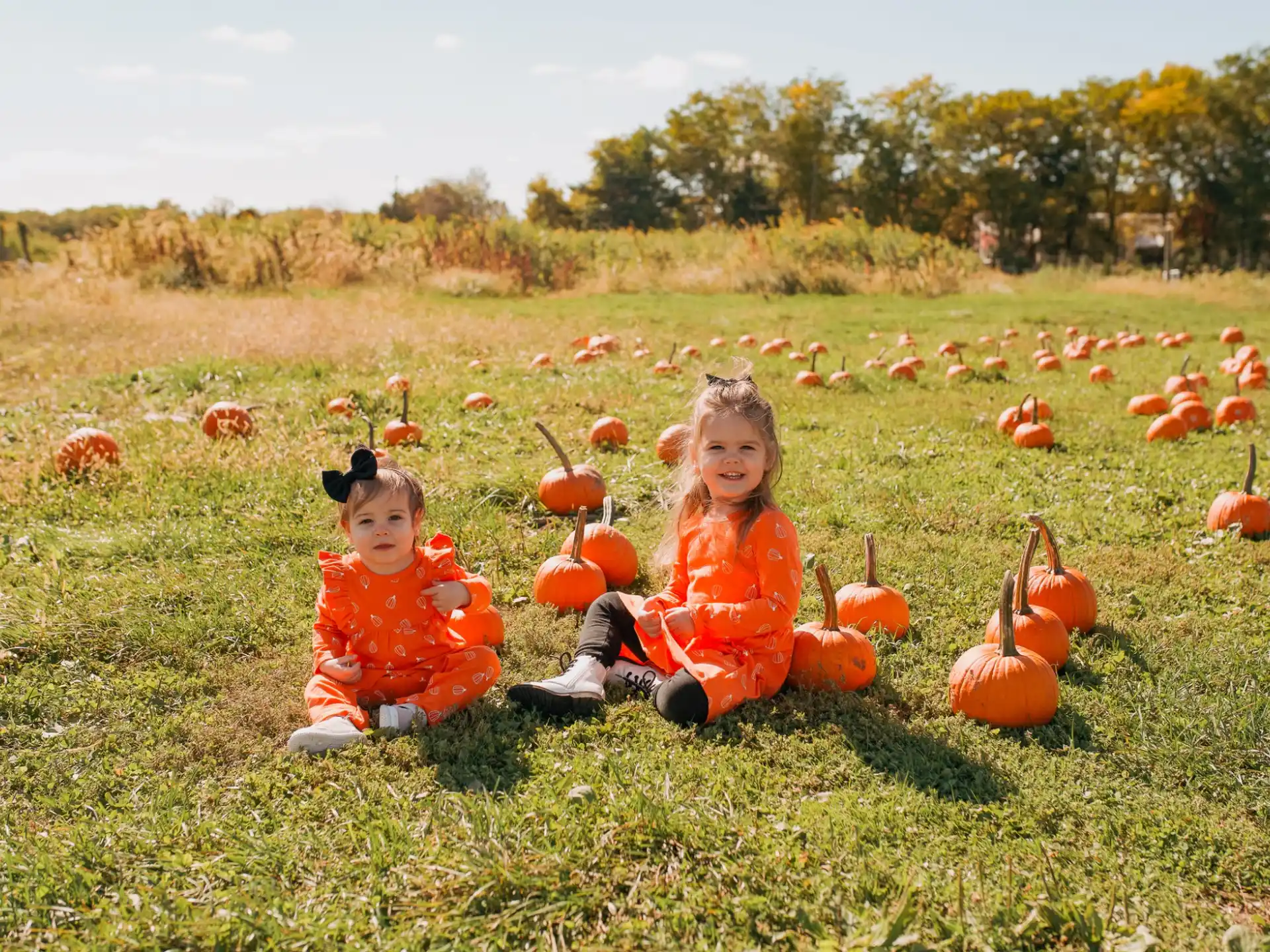 a couple of children sitting in a field with pumpkins