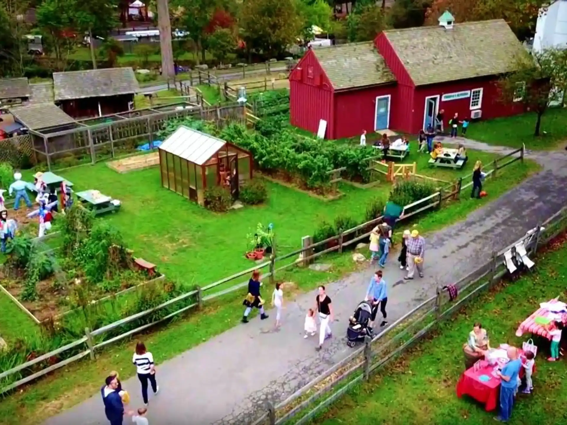 a group of people at a park