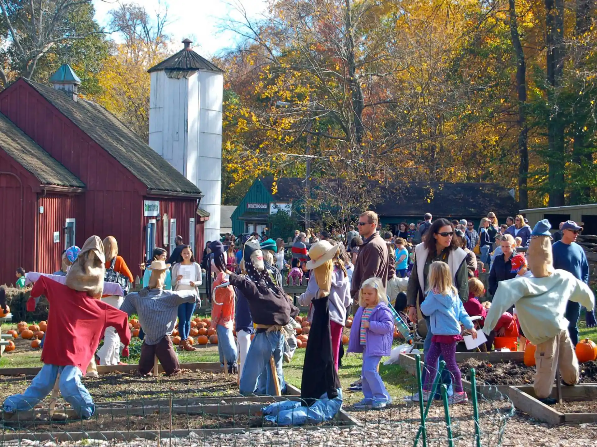 a group of people playing in a park