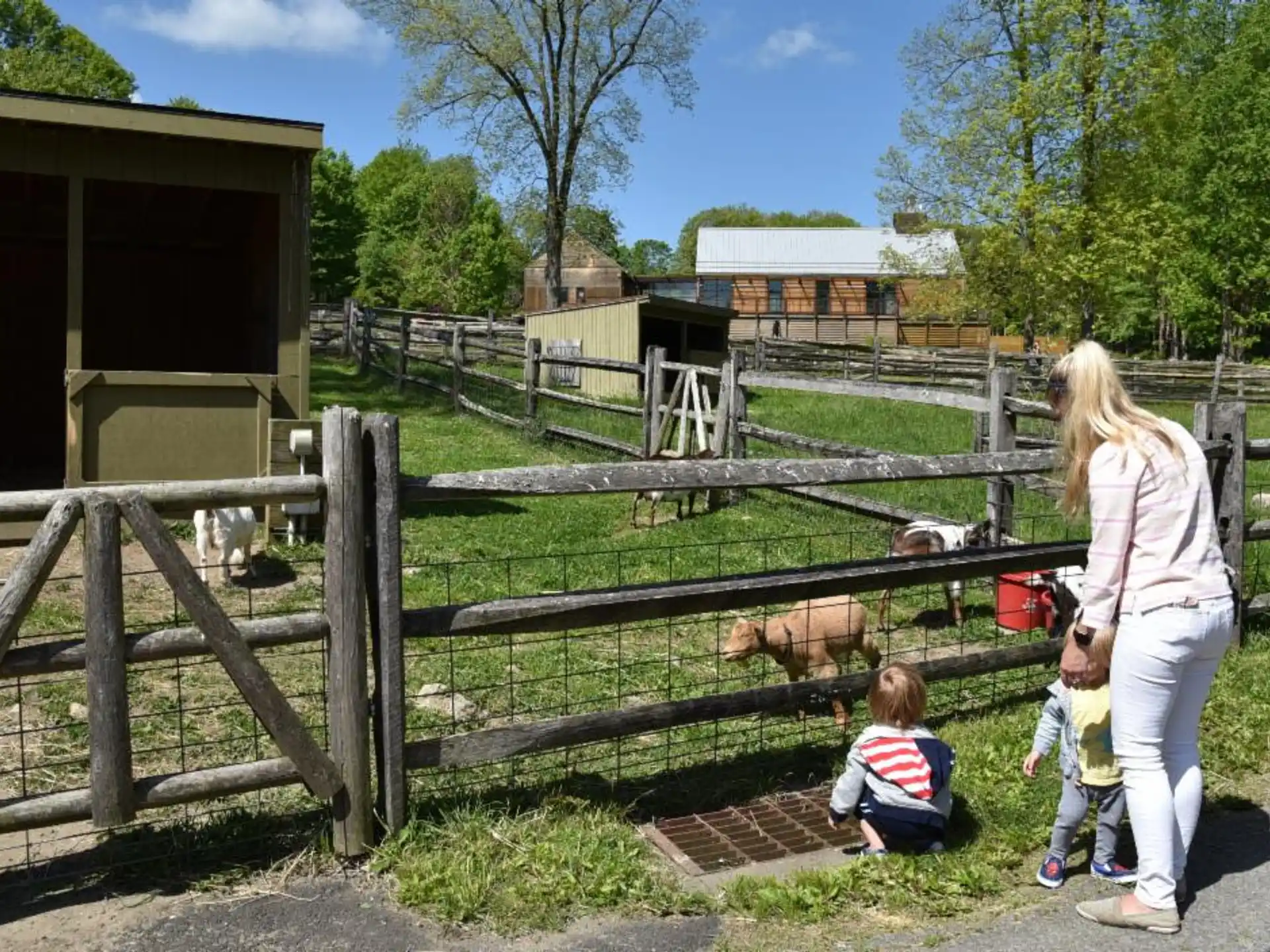 a person and two children in a fenced in area
