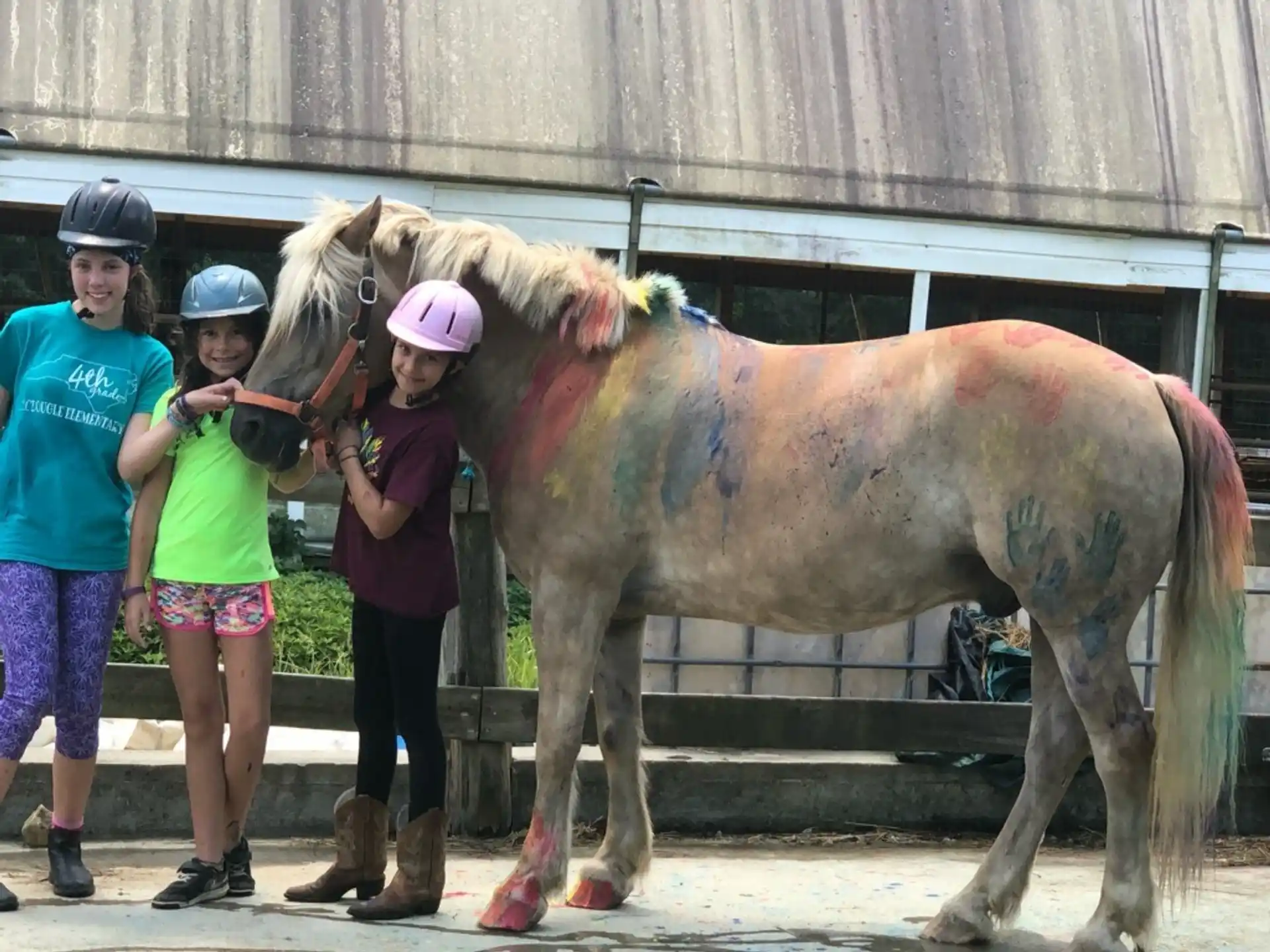 a group of people stand around a horse