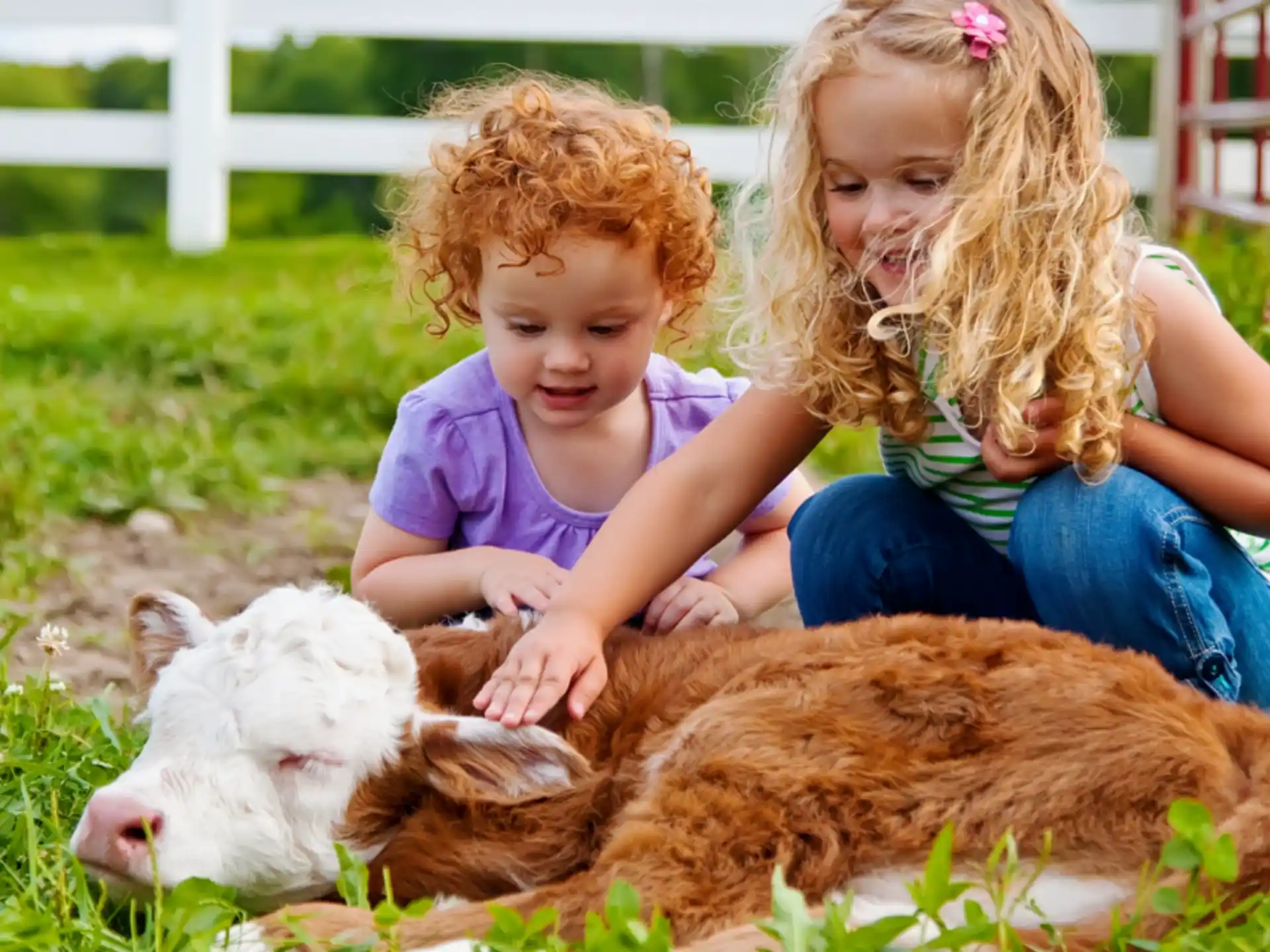 a couple of children playing with a piglet