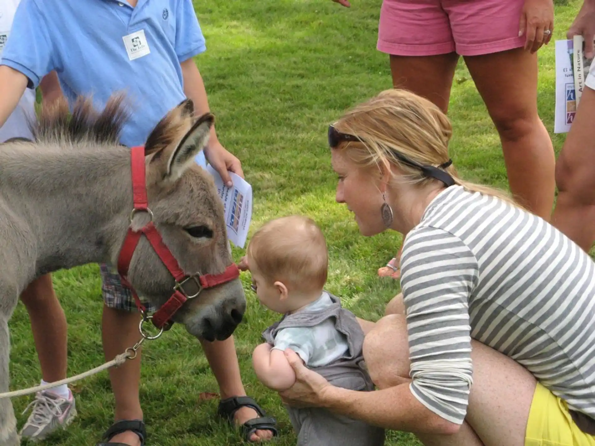 a person and a baby petting a horse