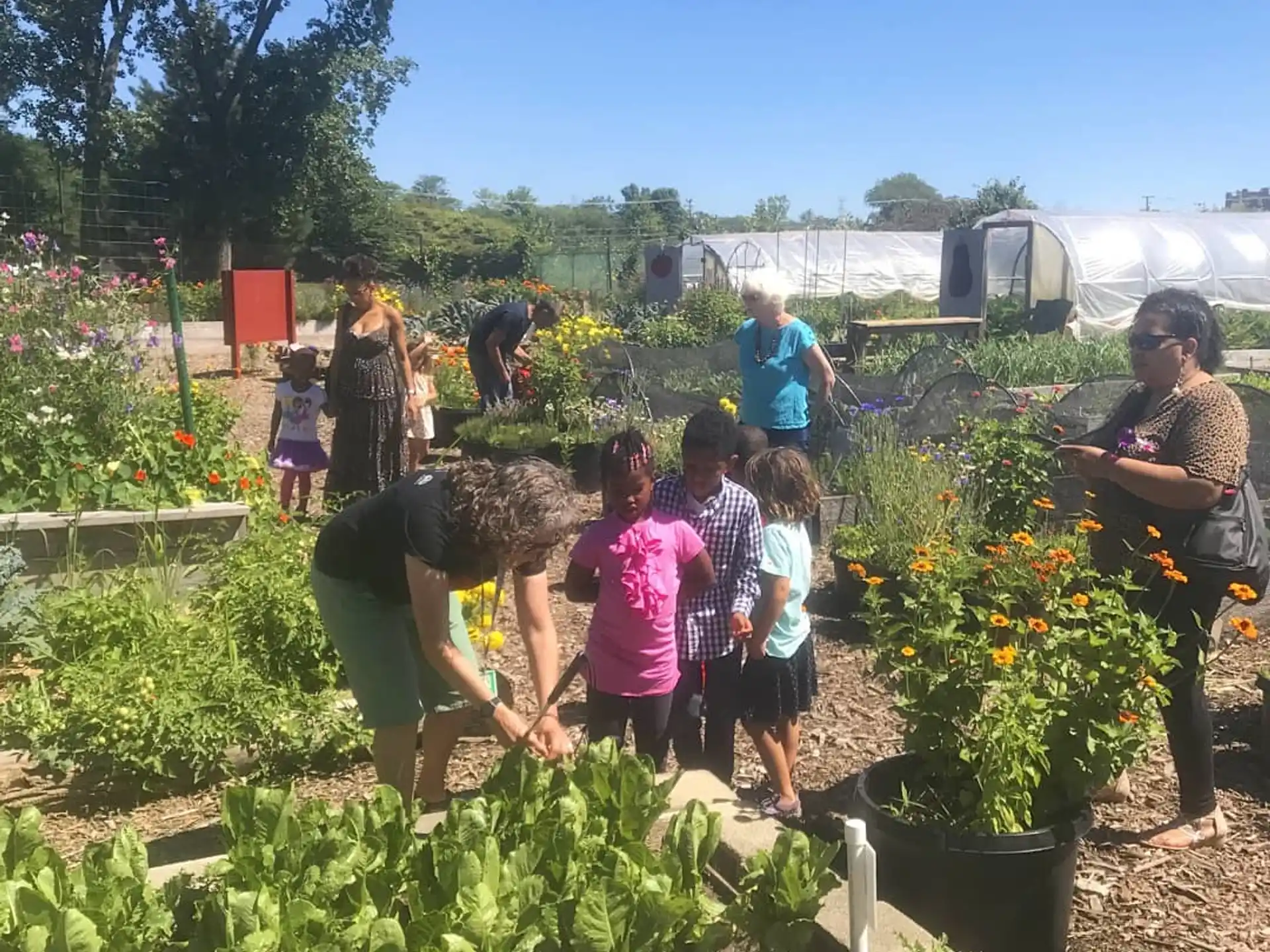 a group of people in a garden