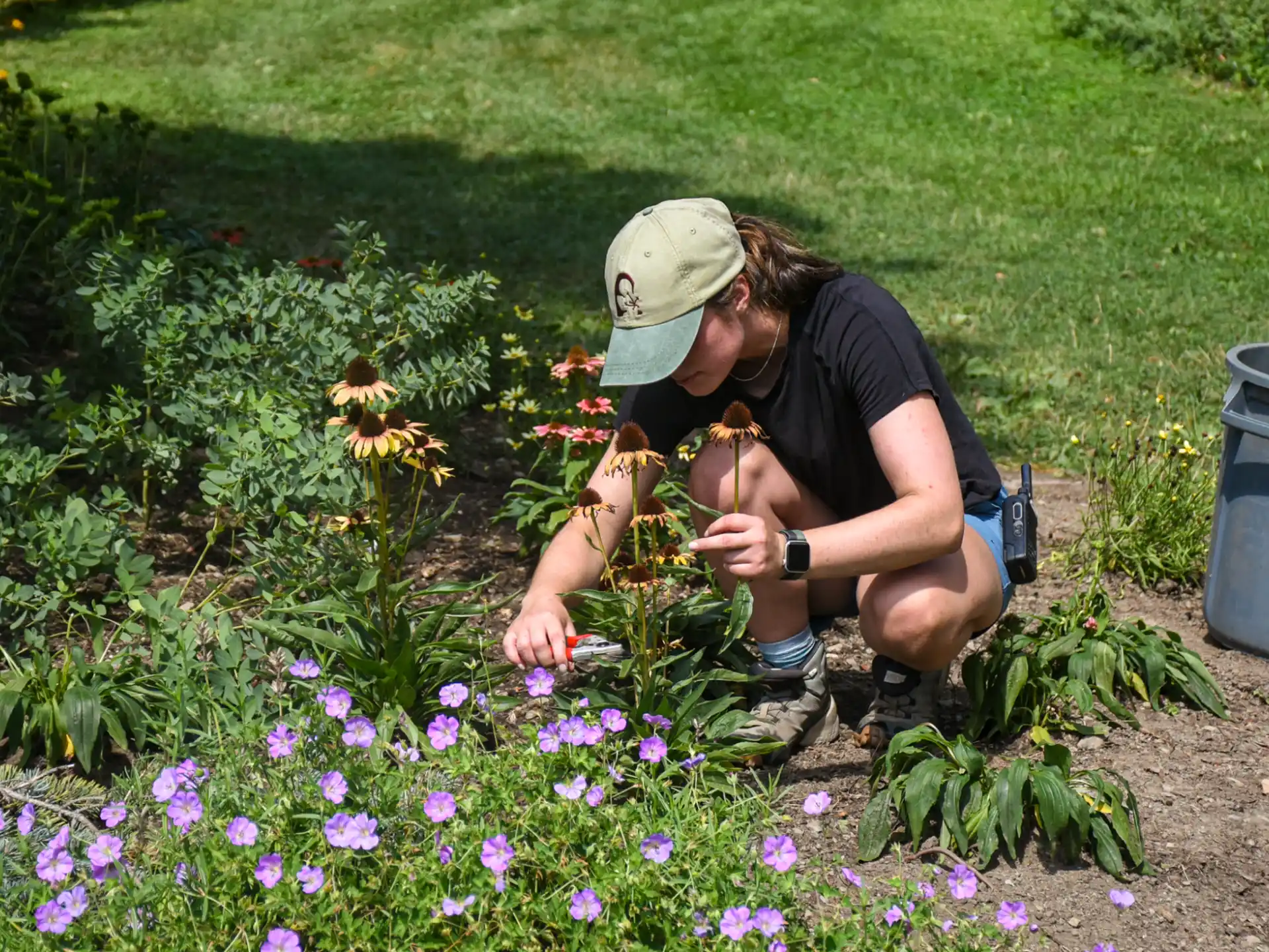 a man kneeling in a field of flowers