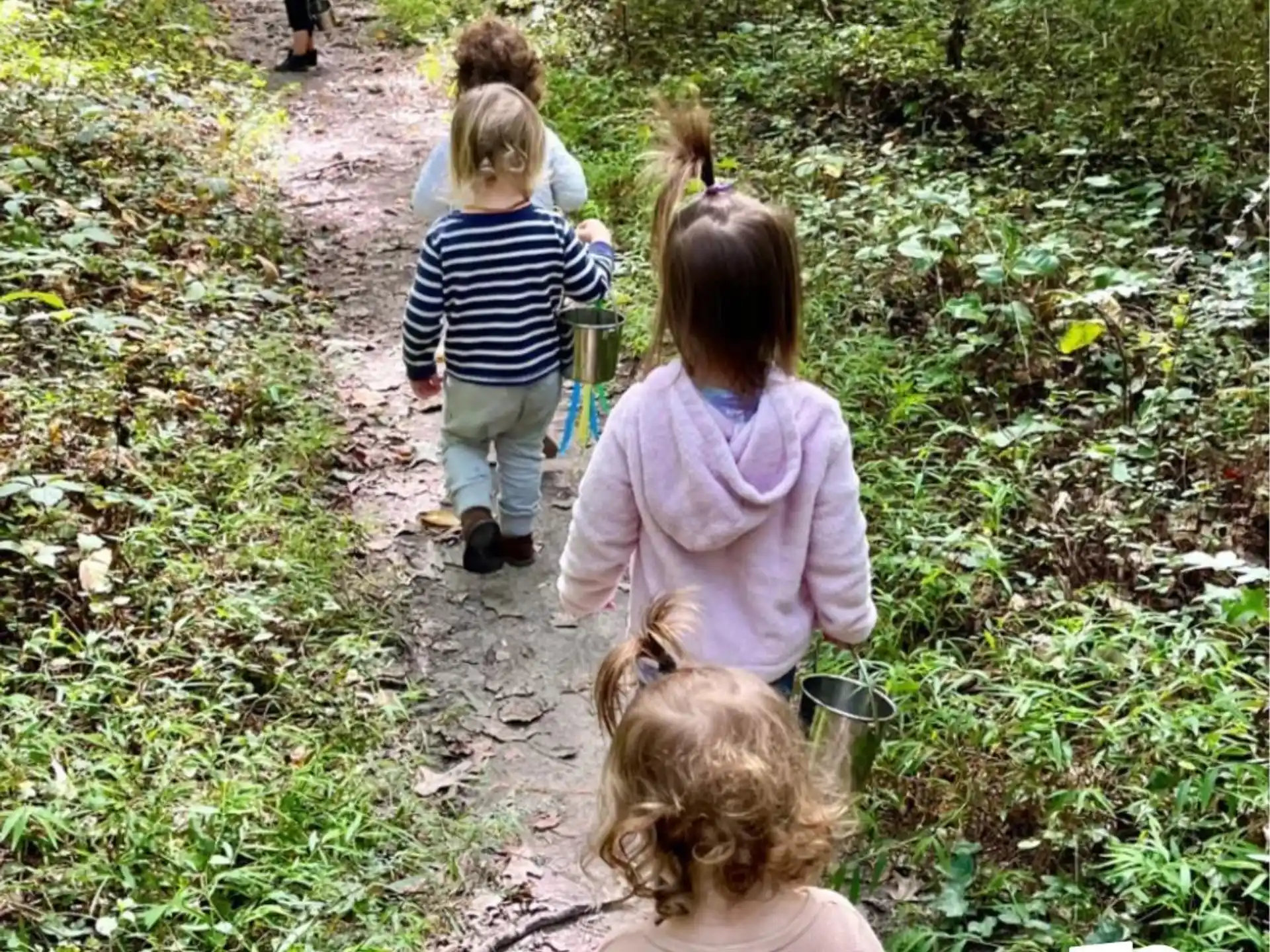 a group of children walking on a path in the woods