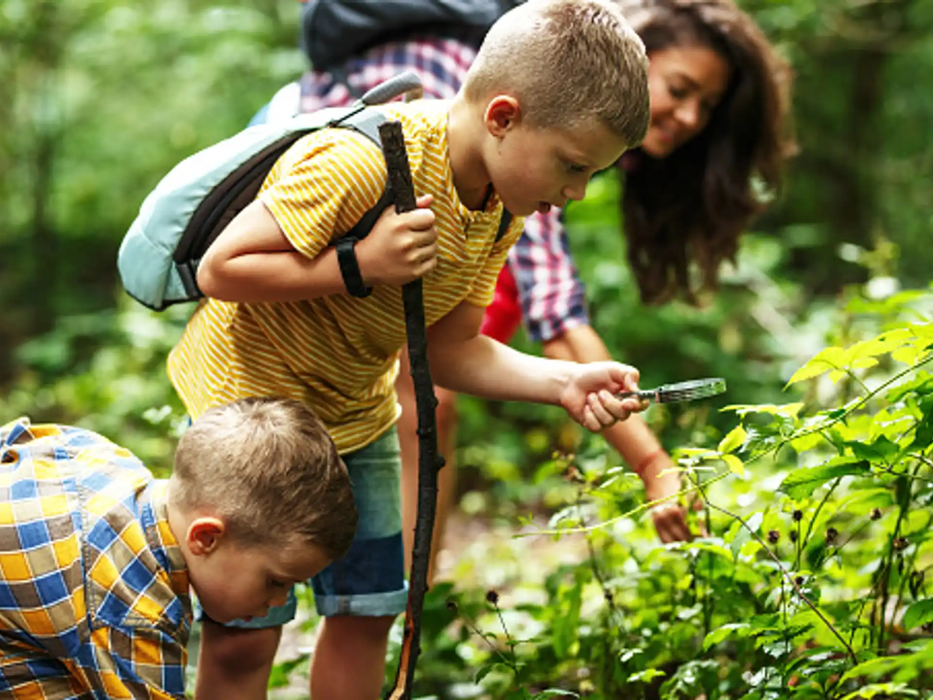 a group of children looking at plants
