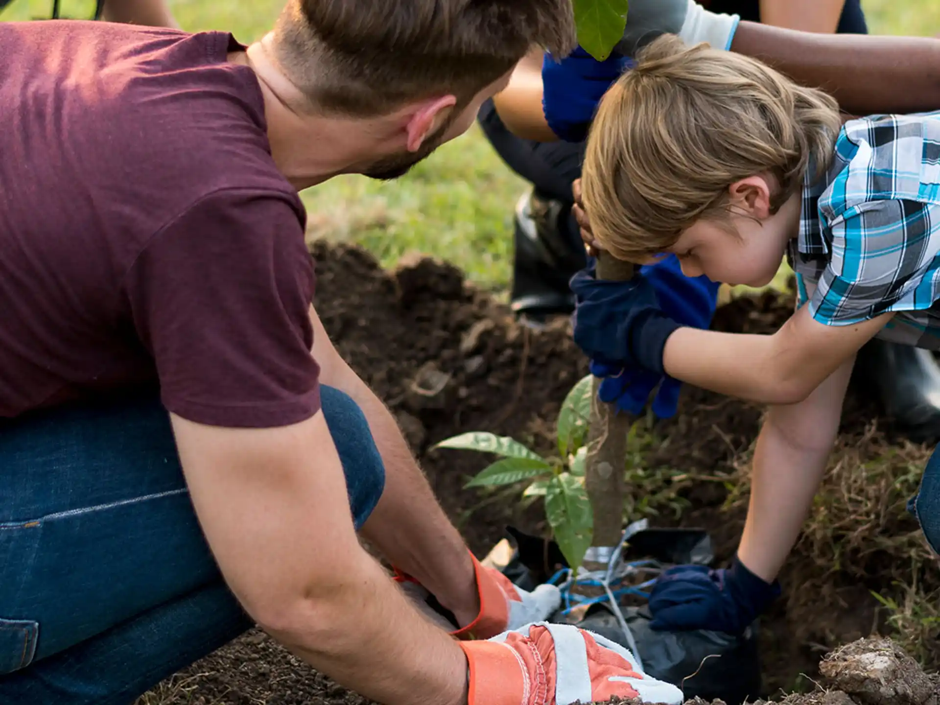 a group of people digging in the dirt