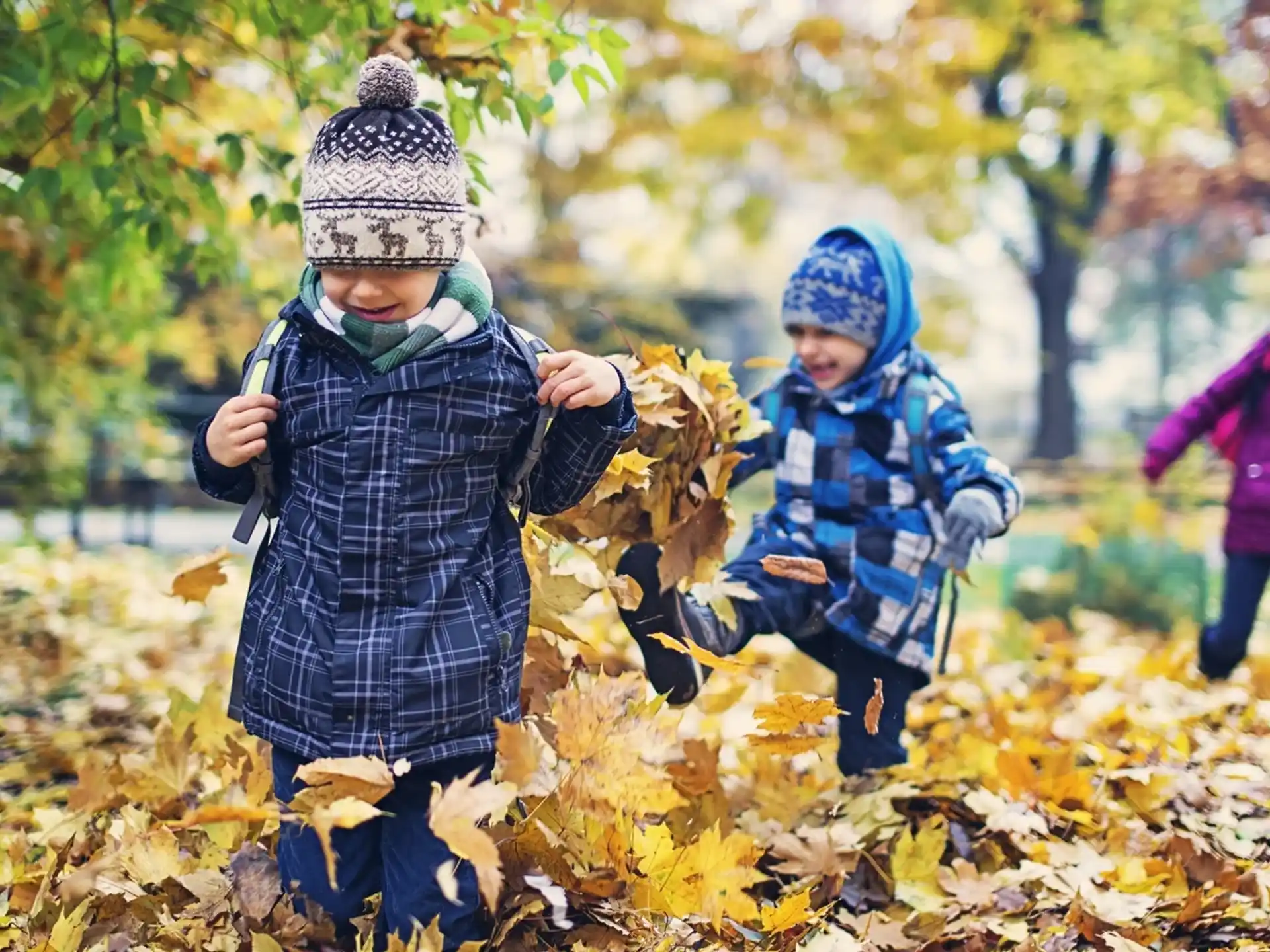 a group of children playing in a park