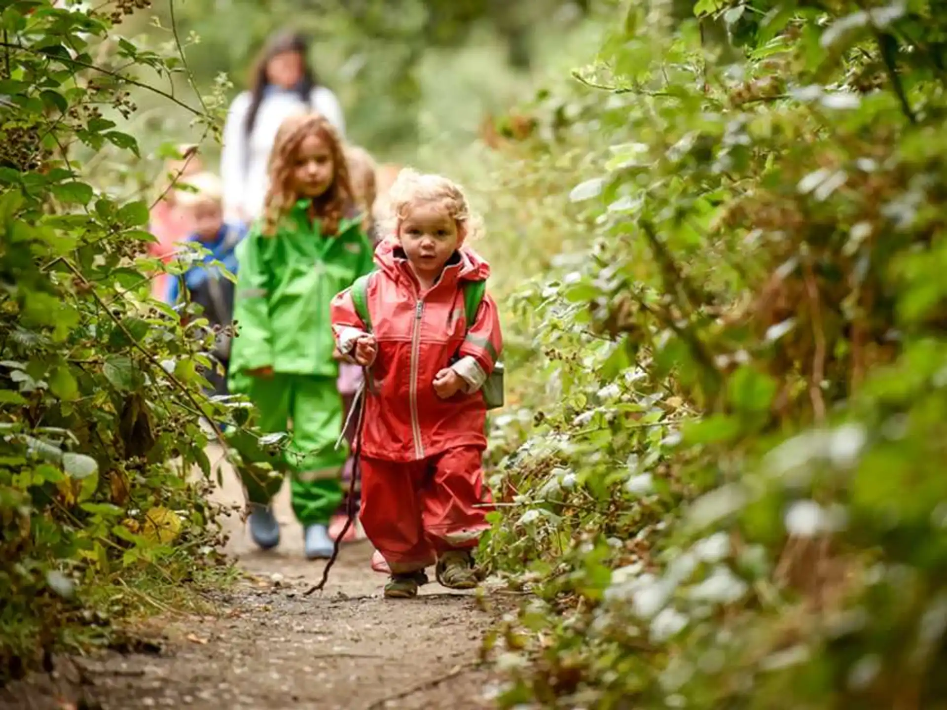 a group of children walking through a forest