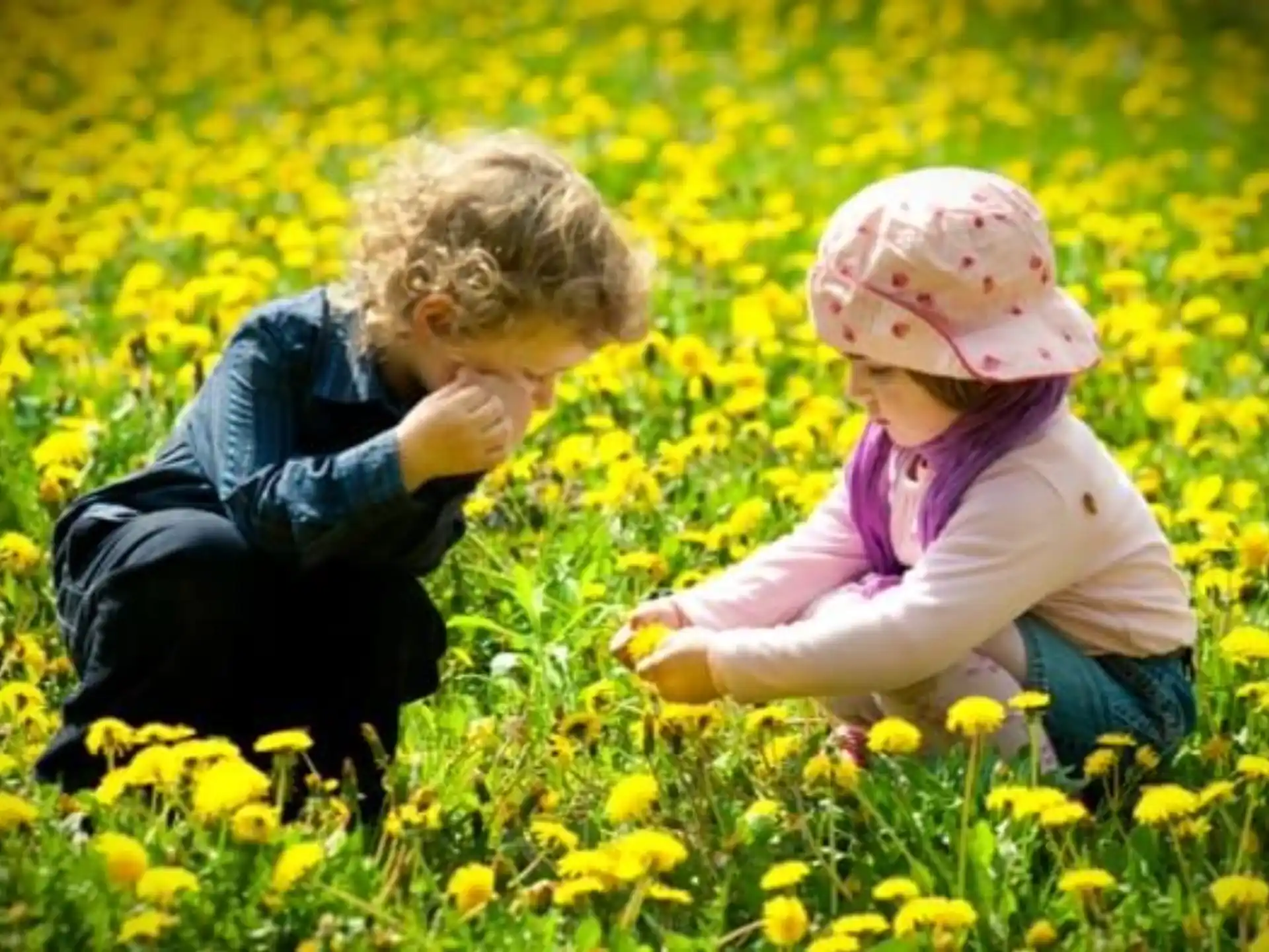 a couple of children in a field of yellow flowers