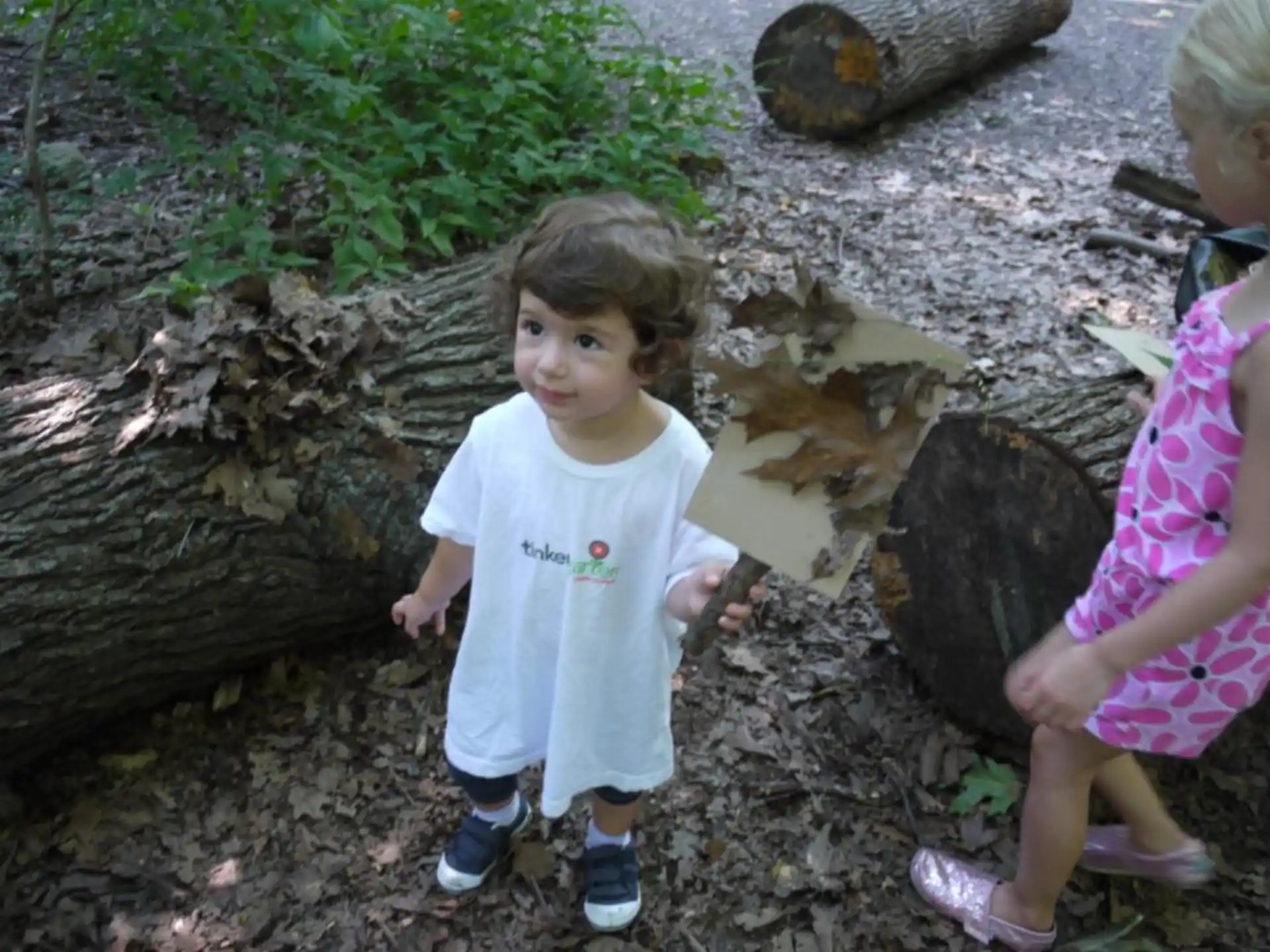 a girl and a boy standing by a tree stump
