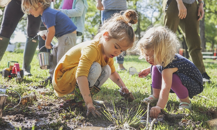 a group of people planting plants