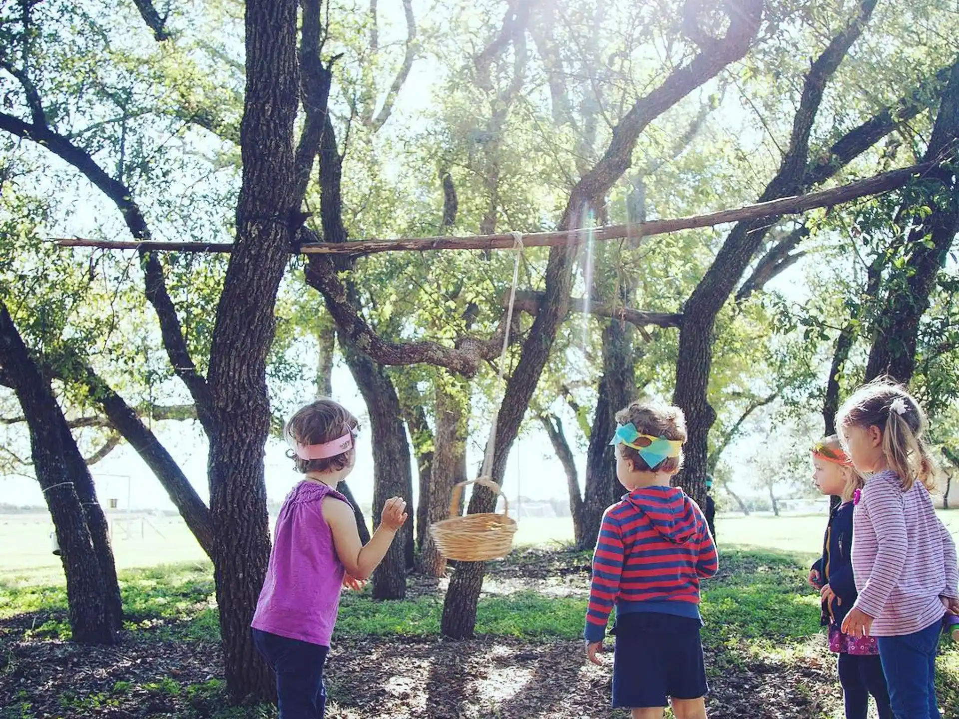a group of children in a wooded area