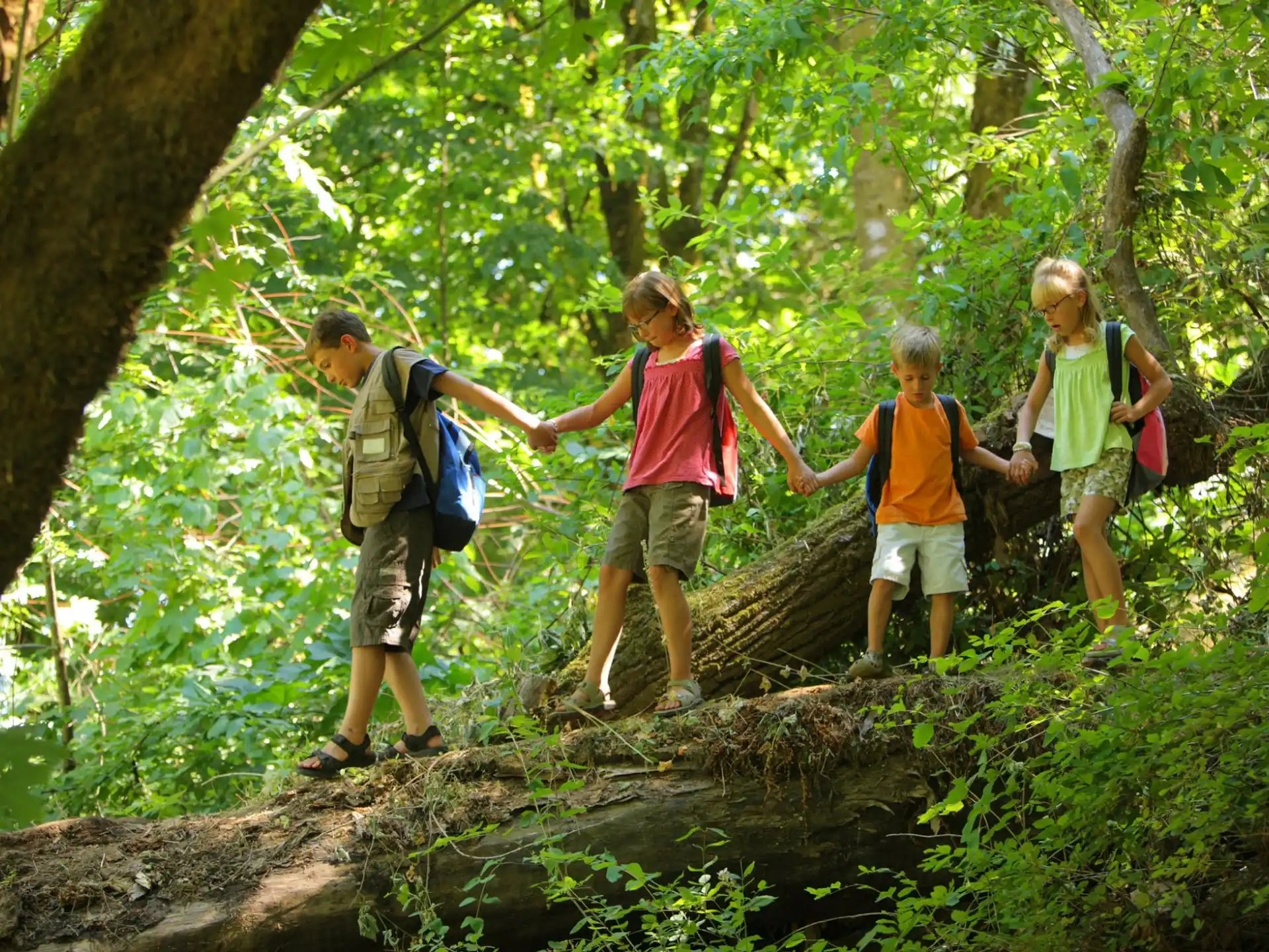 a group of people hiking in the woods