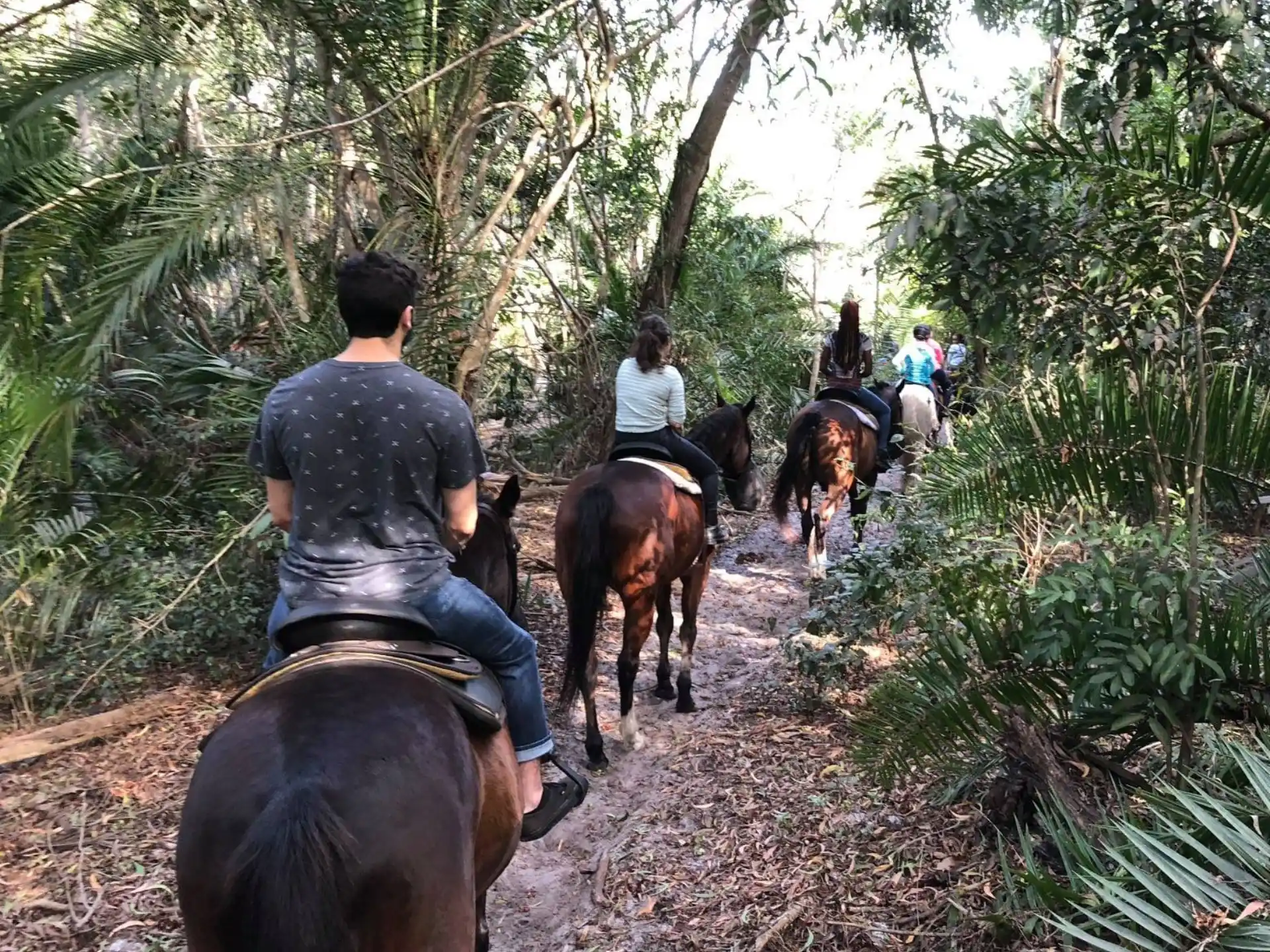 people riding horses on a trail