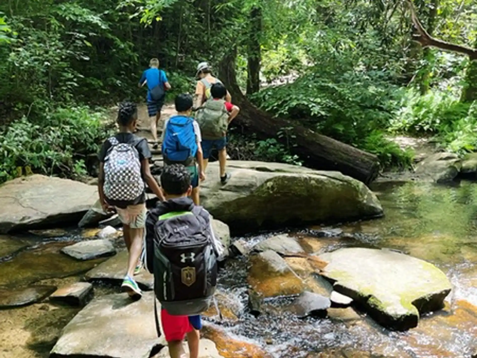 a group of people hiking in the woods