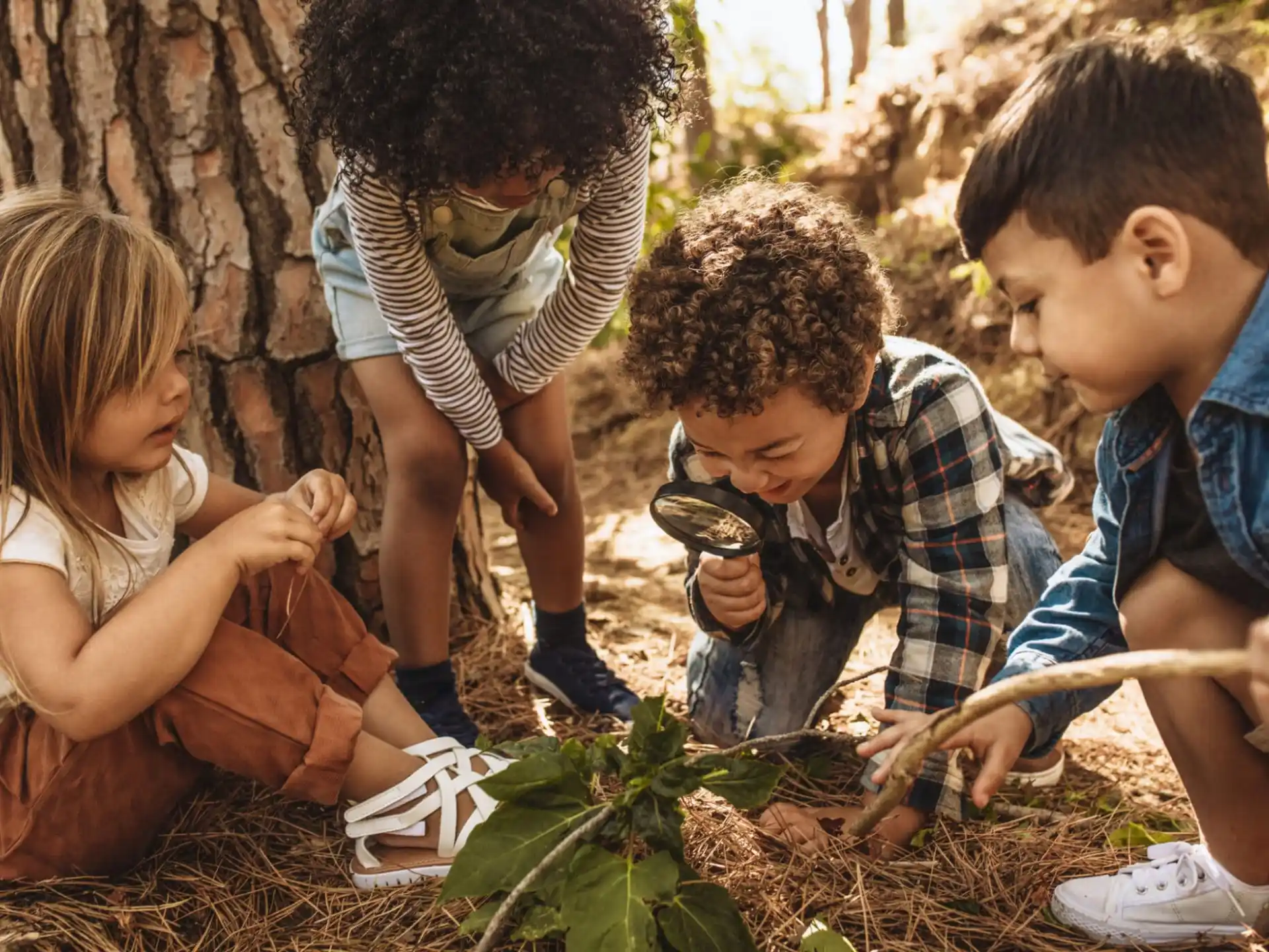 a group of children planting plants