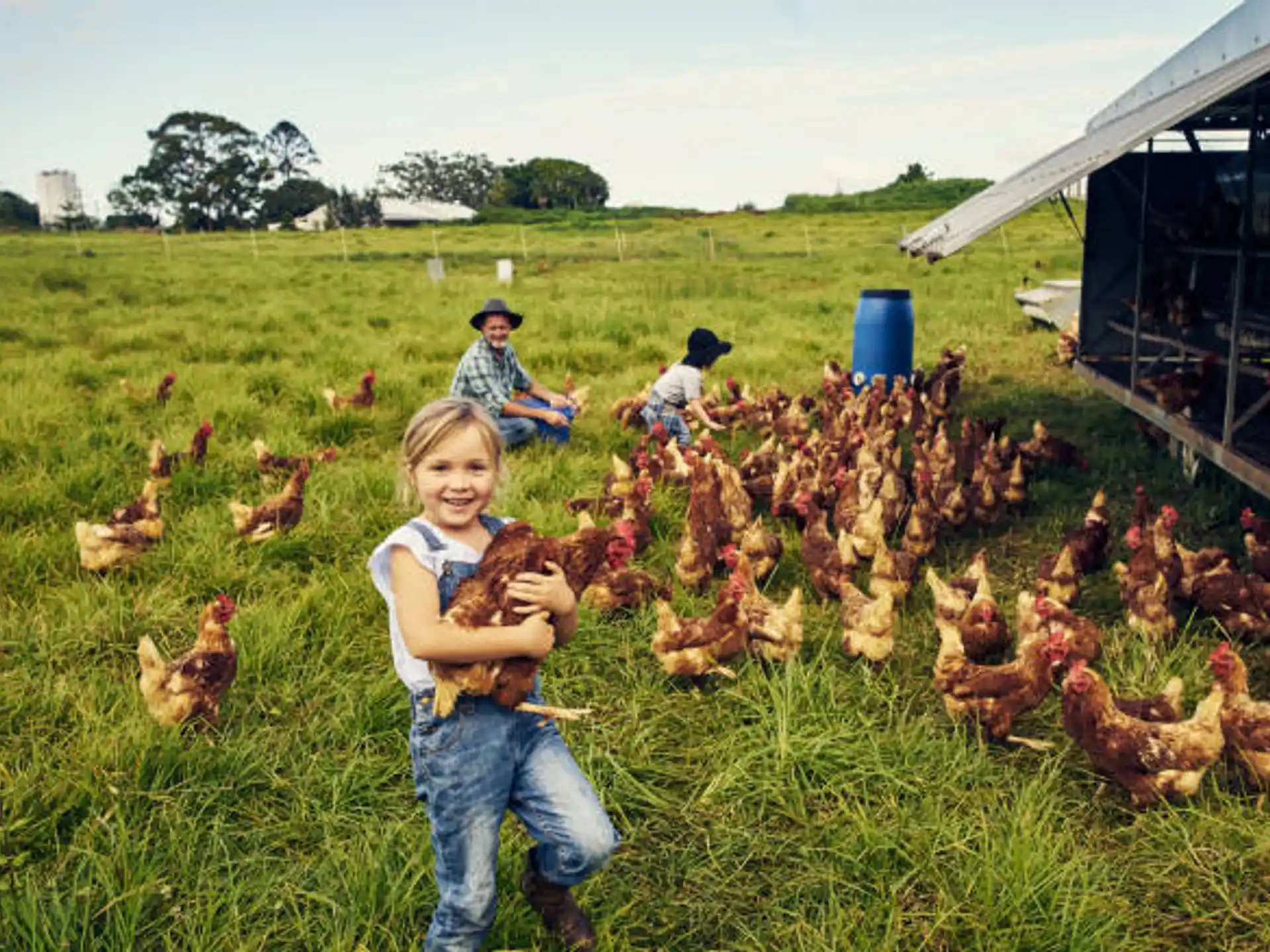 a group of people and chickens in a grassy field