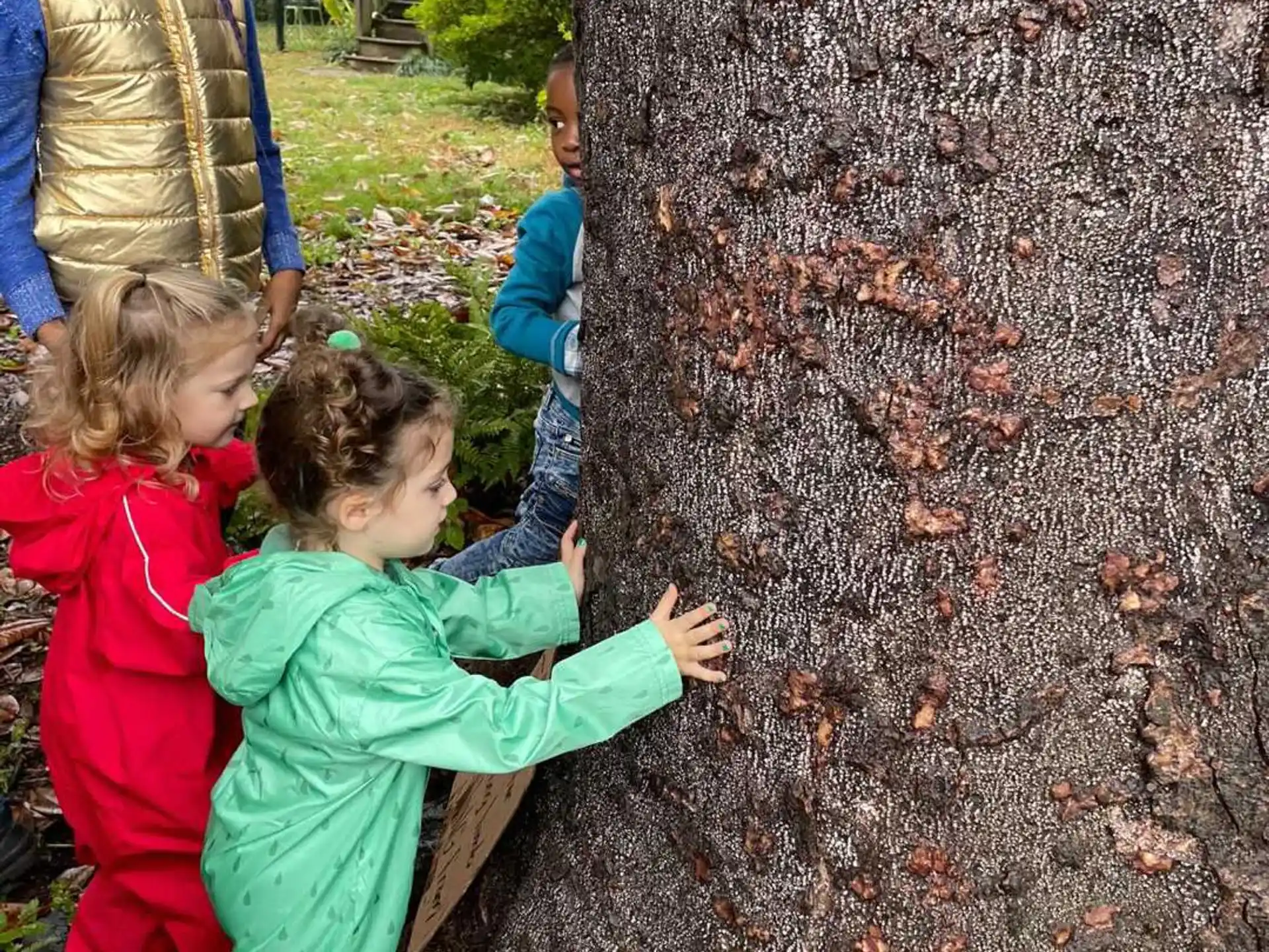 a group of children playing in a tree