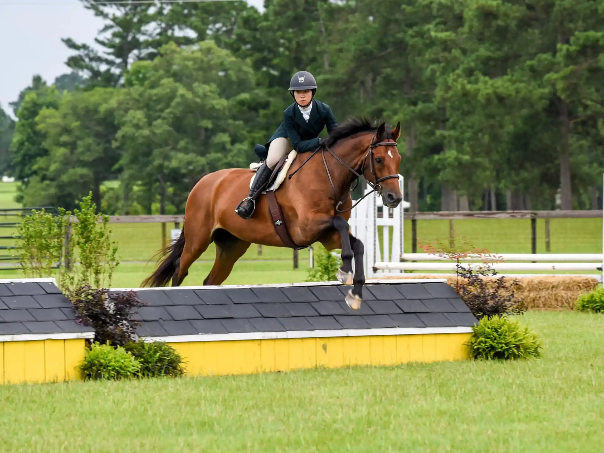 a person riding a horse