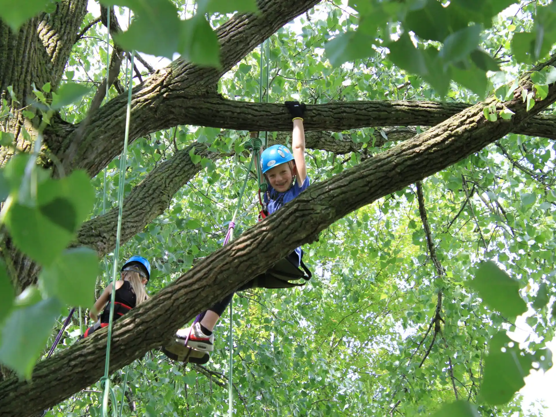 a couple of kids climbing a tree