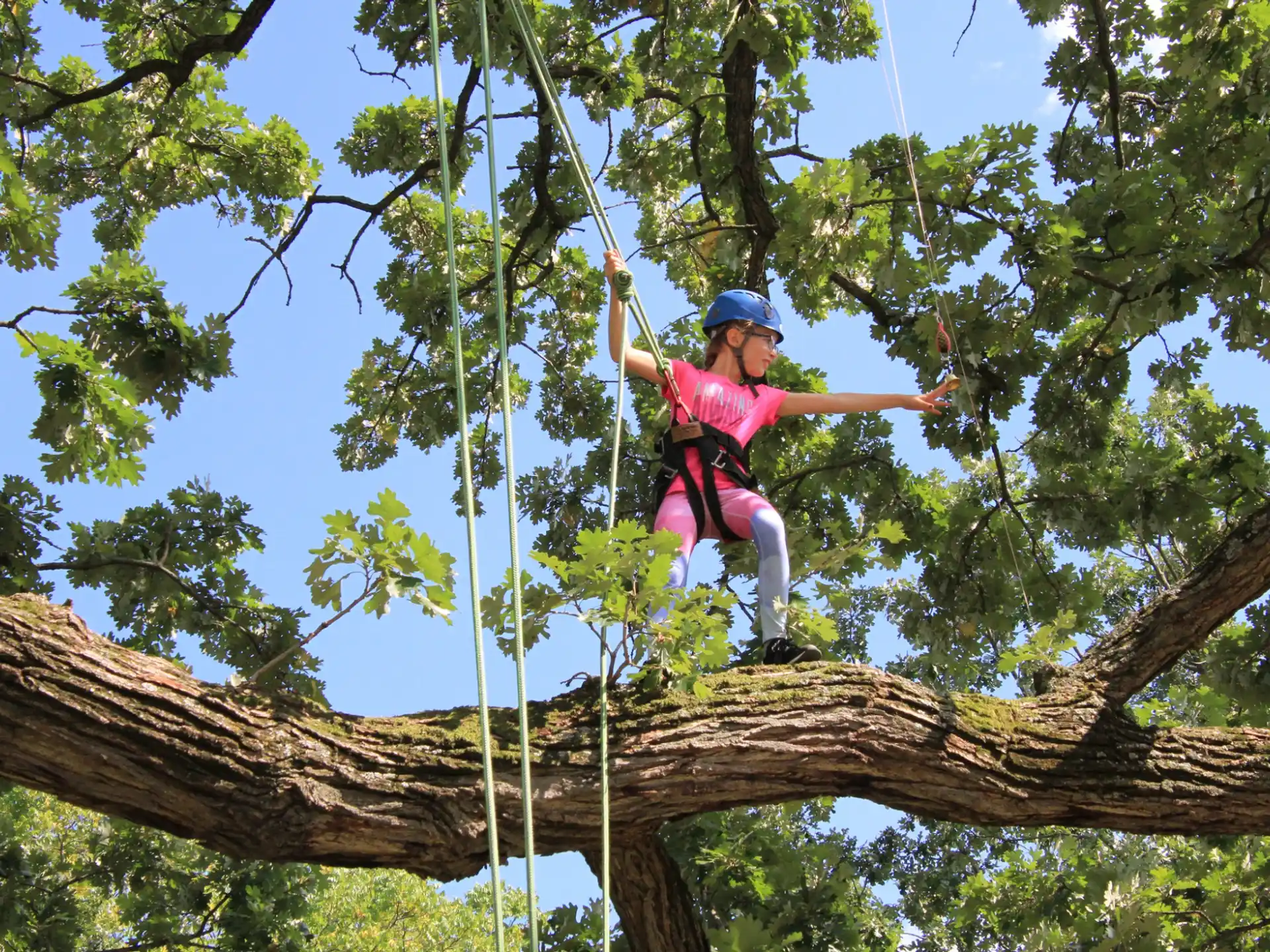 a man climbing a tree