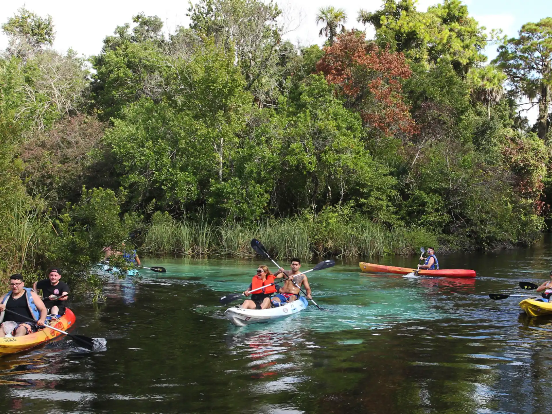 a group of people in kayaks on a river