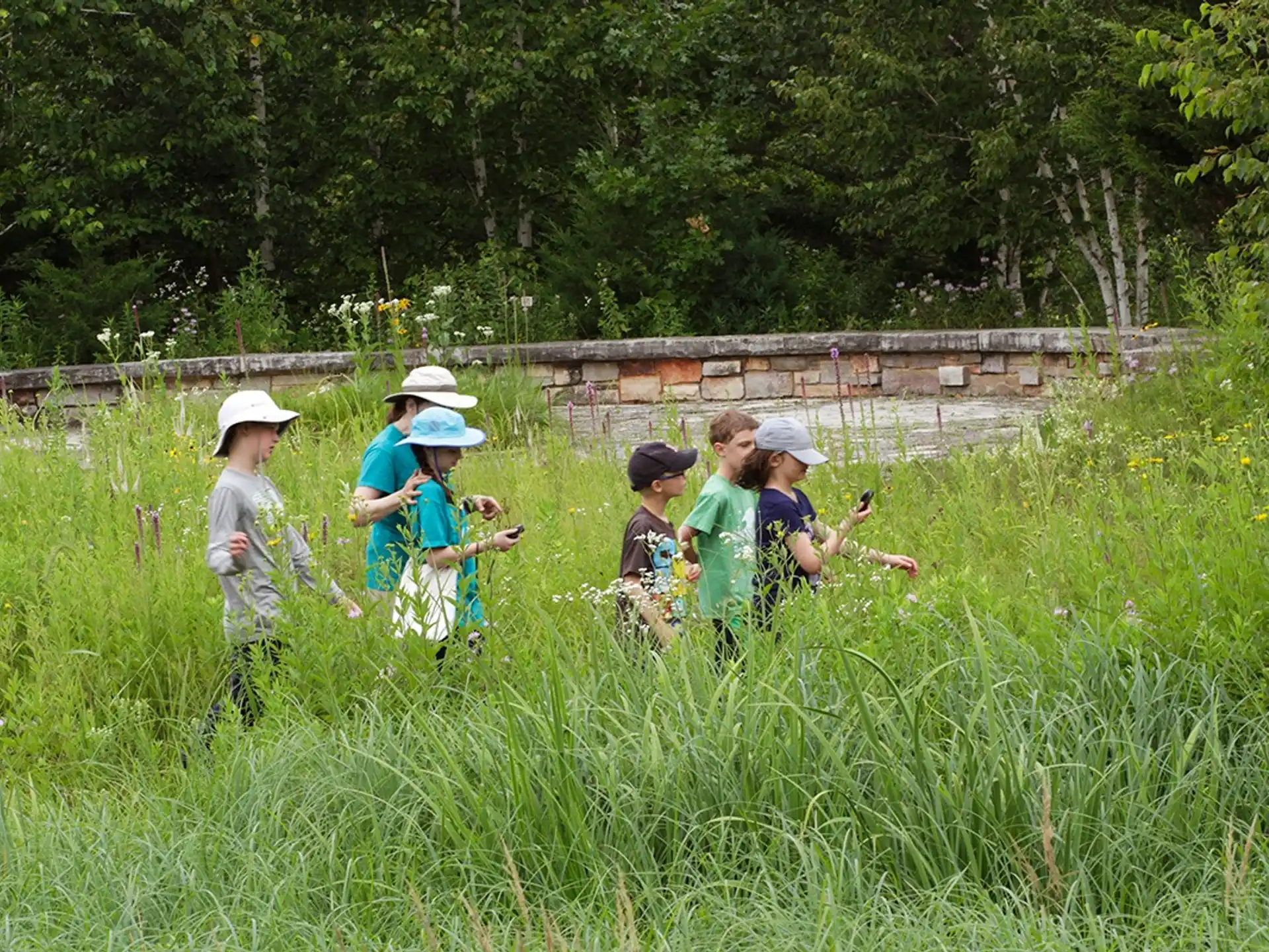 a group of children in a field