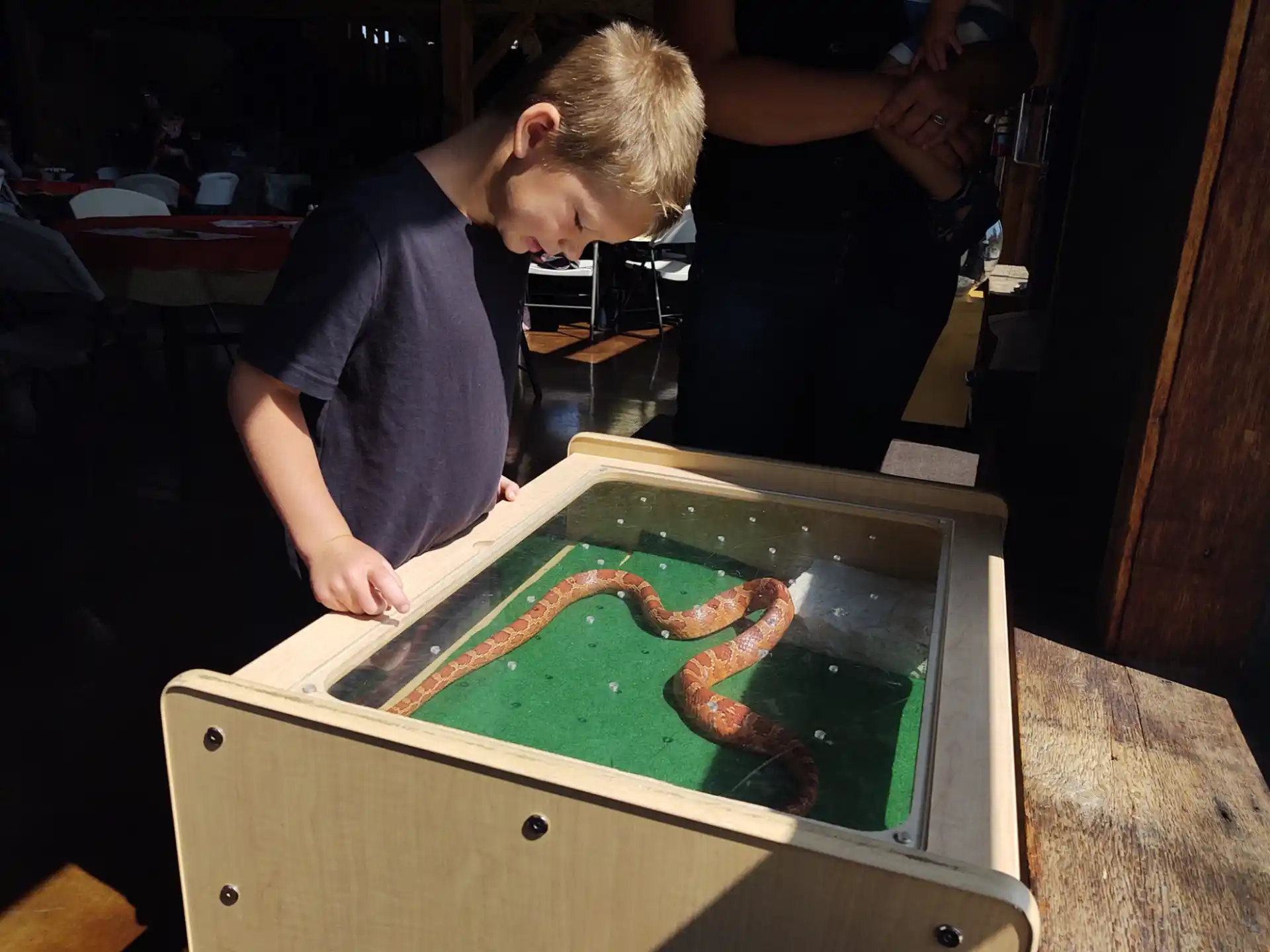 a man painting a picture