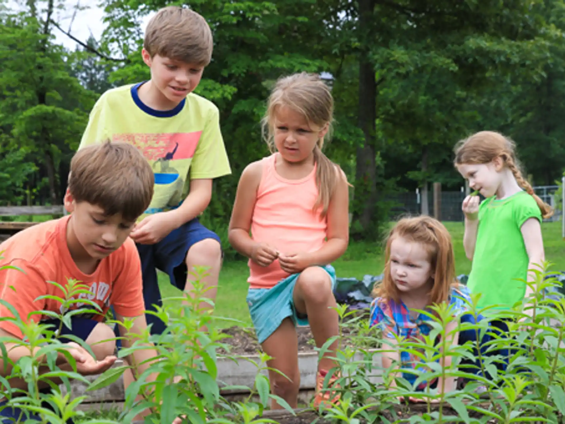 a group of children in a garden