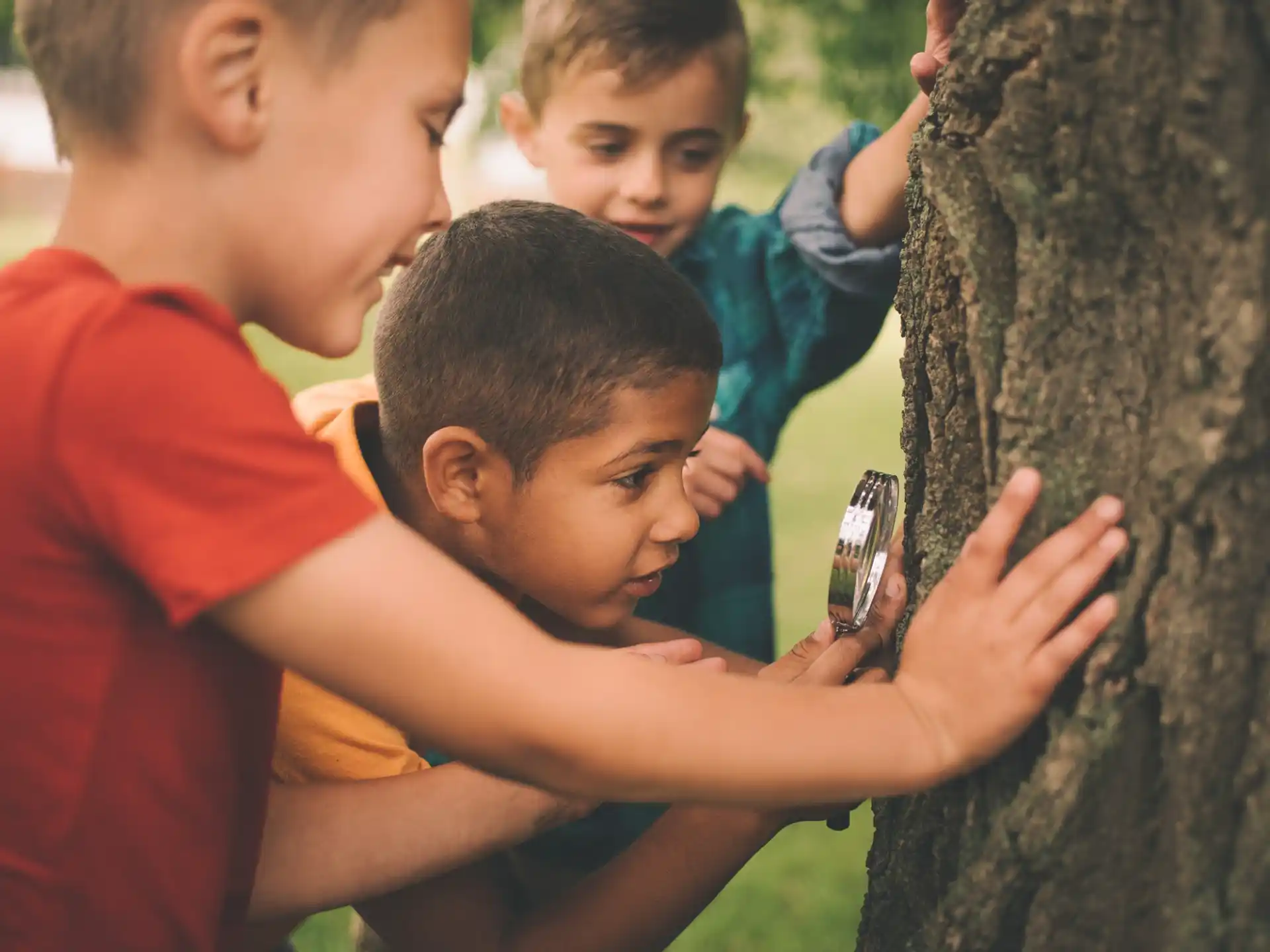 a group of boys playing with a tree