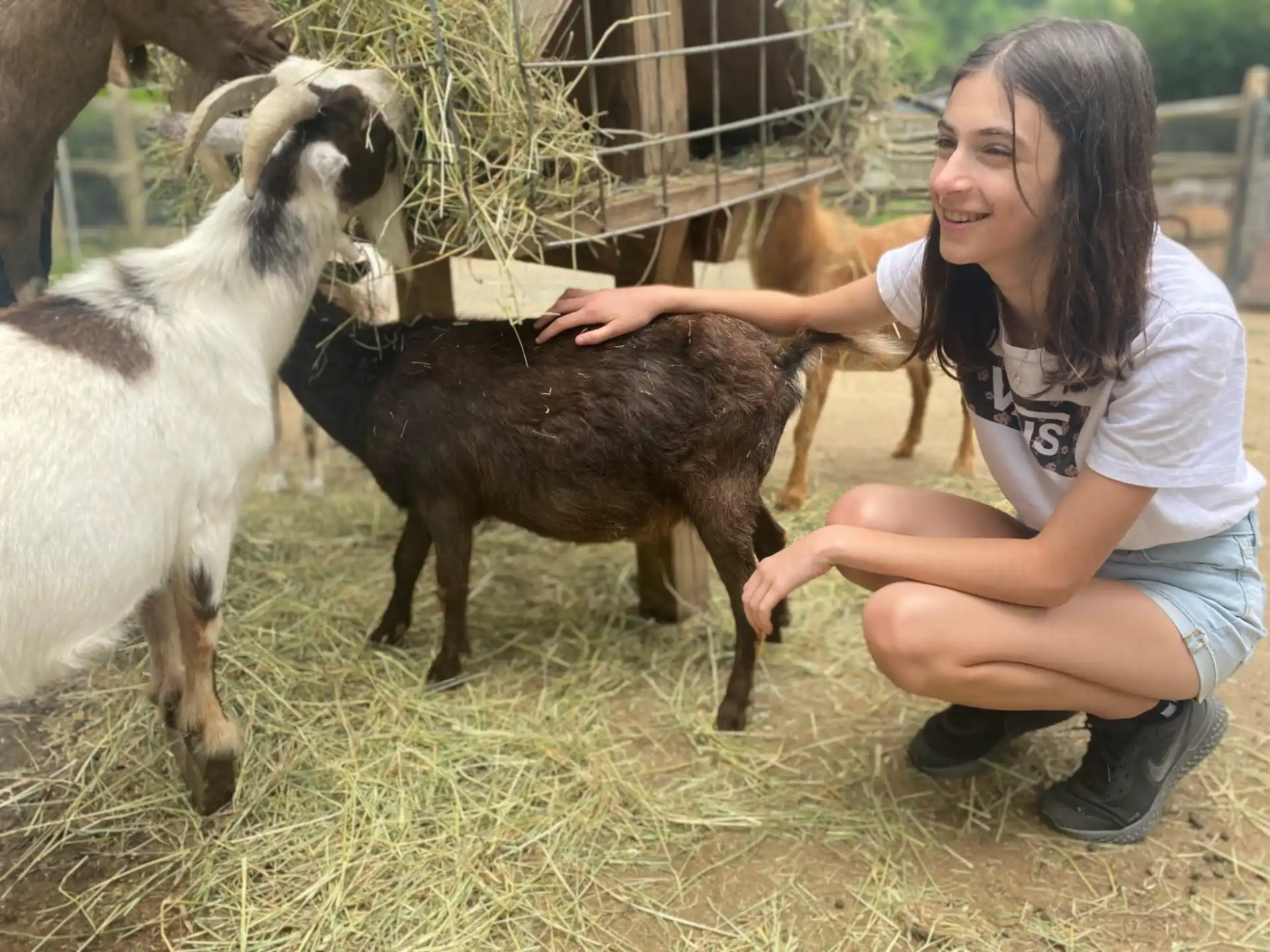 a woman petting a goat
