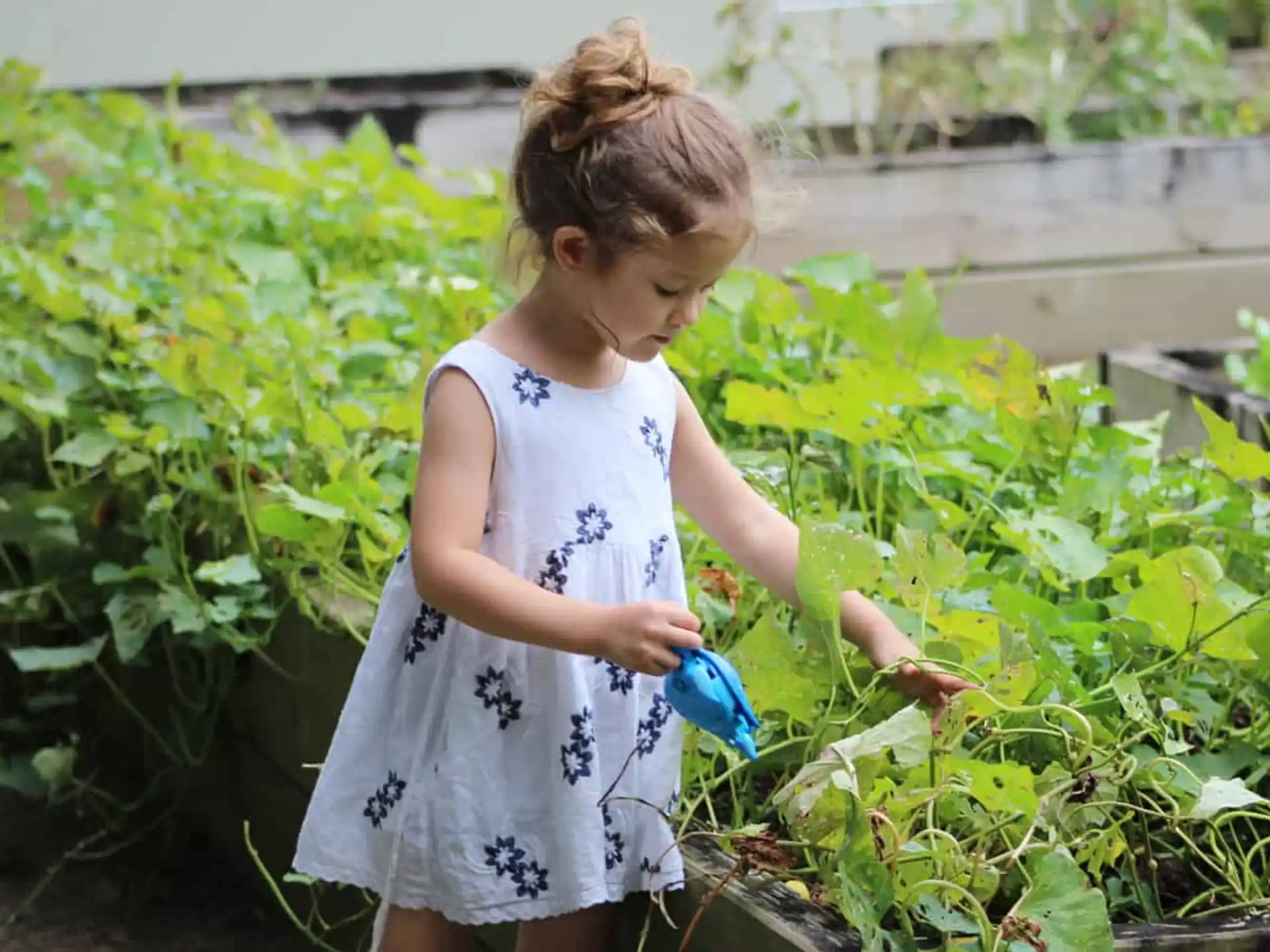 a little girl in a garden