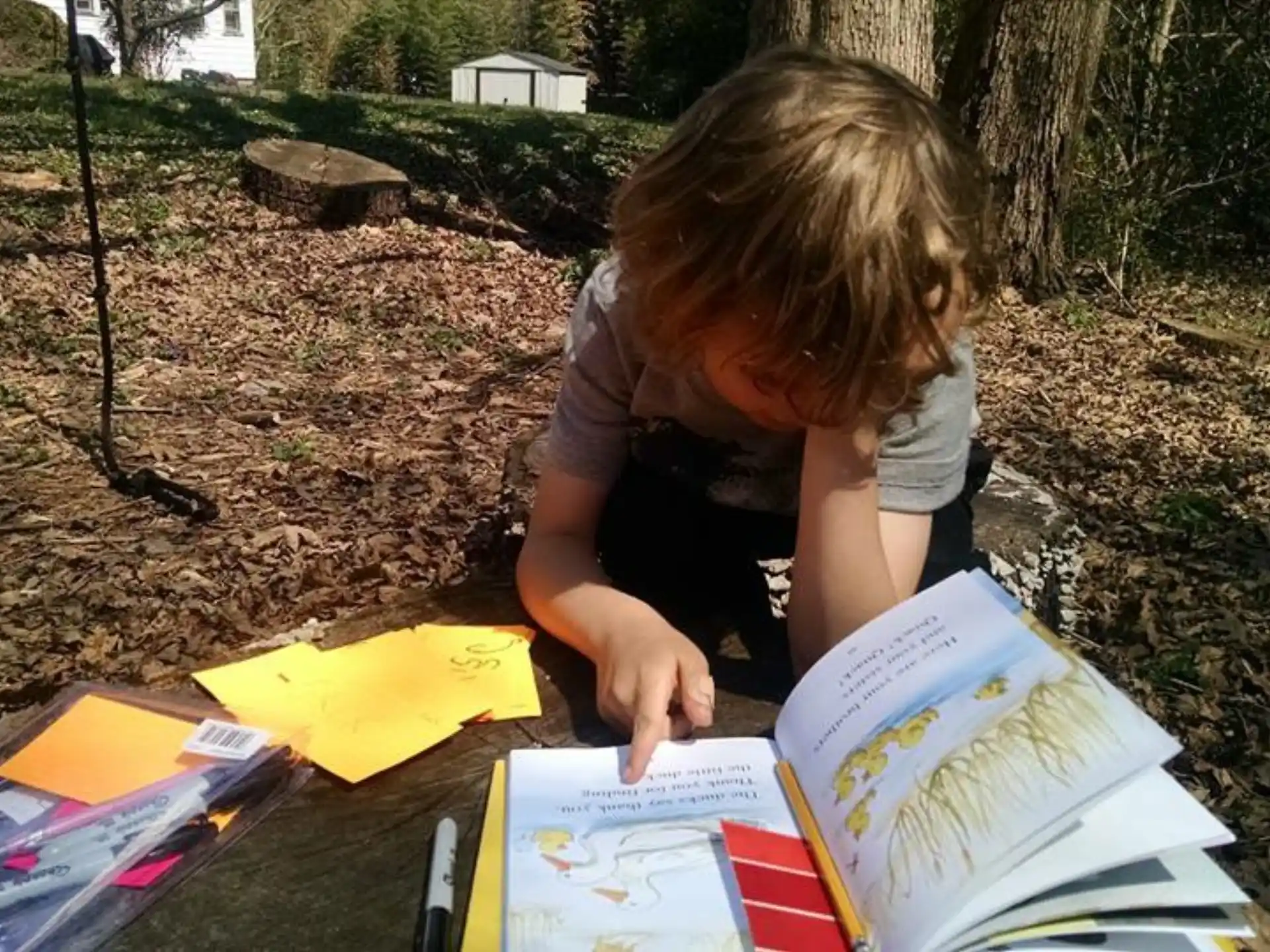 a person reading a book