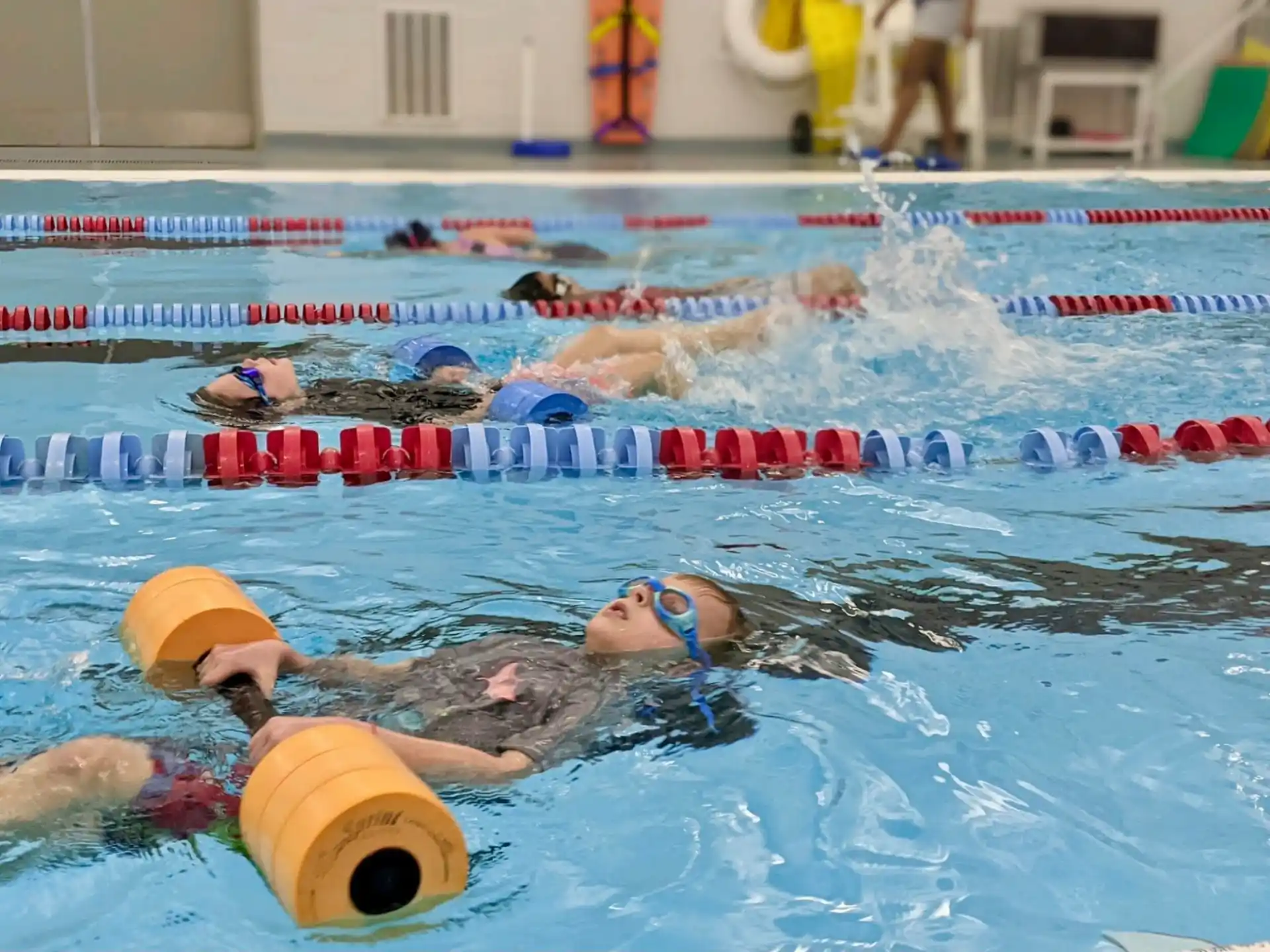 a group of people swimming in a pool