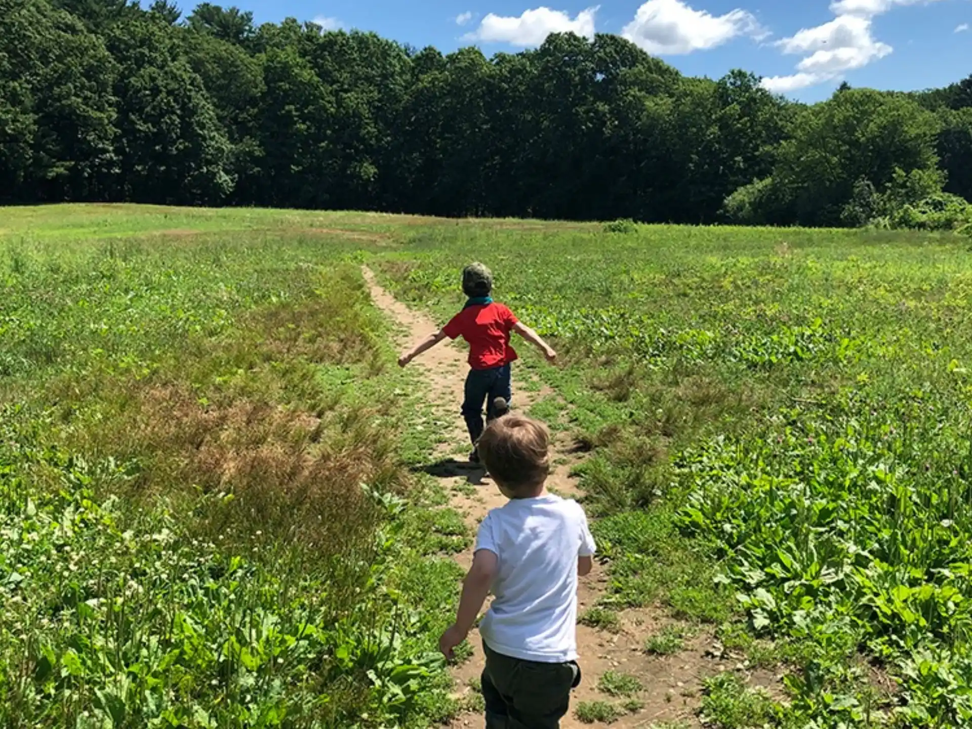 two children walking on a dirt path in a field