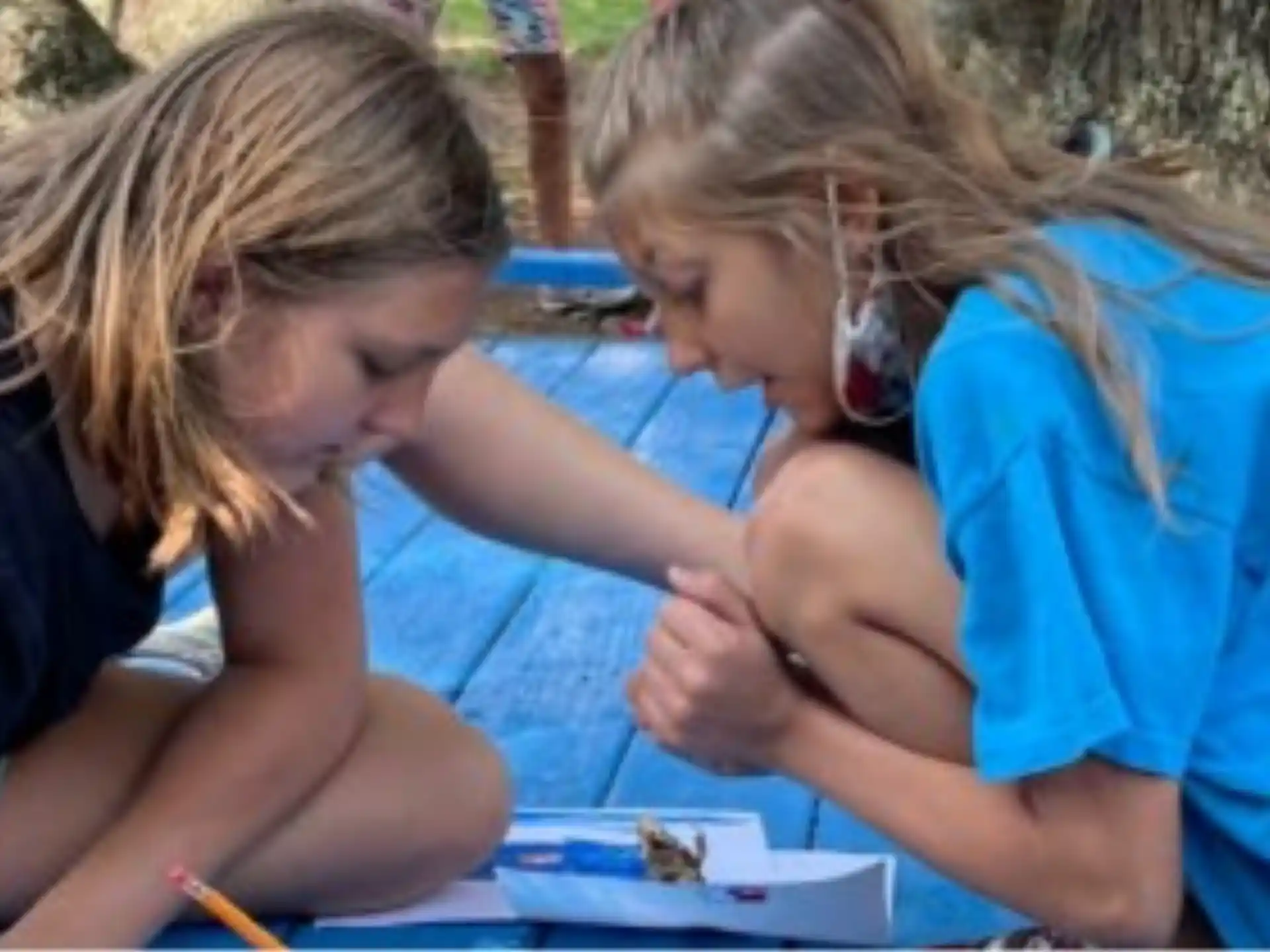 a couple of girls sitting on a blanket looking at a book
