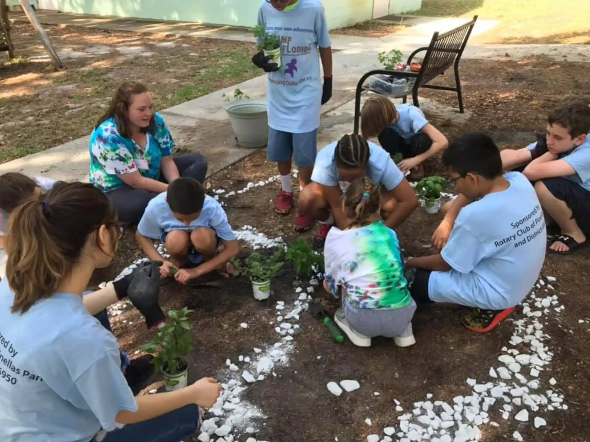 a group of people planting plants