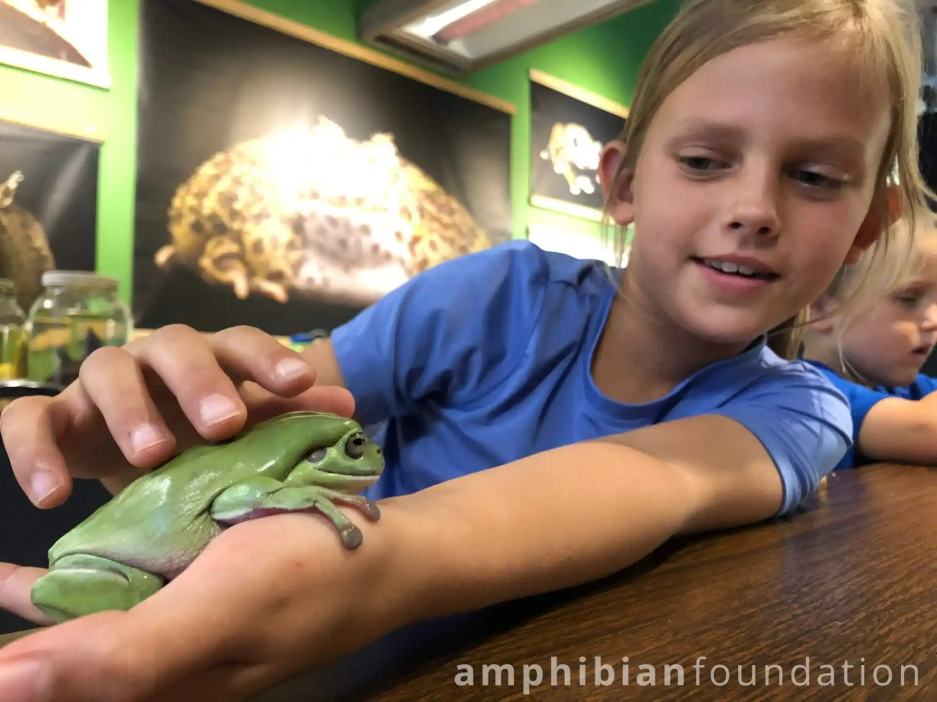 a child holding a green lizard