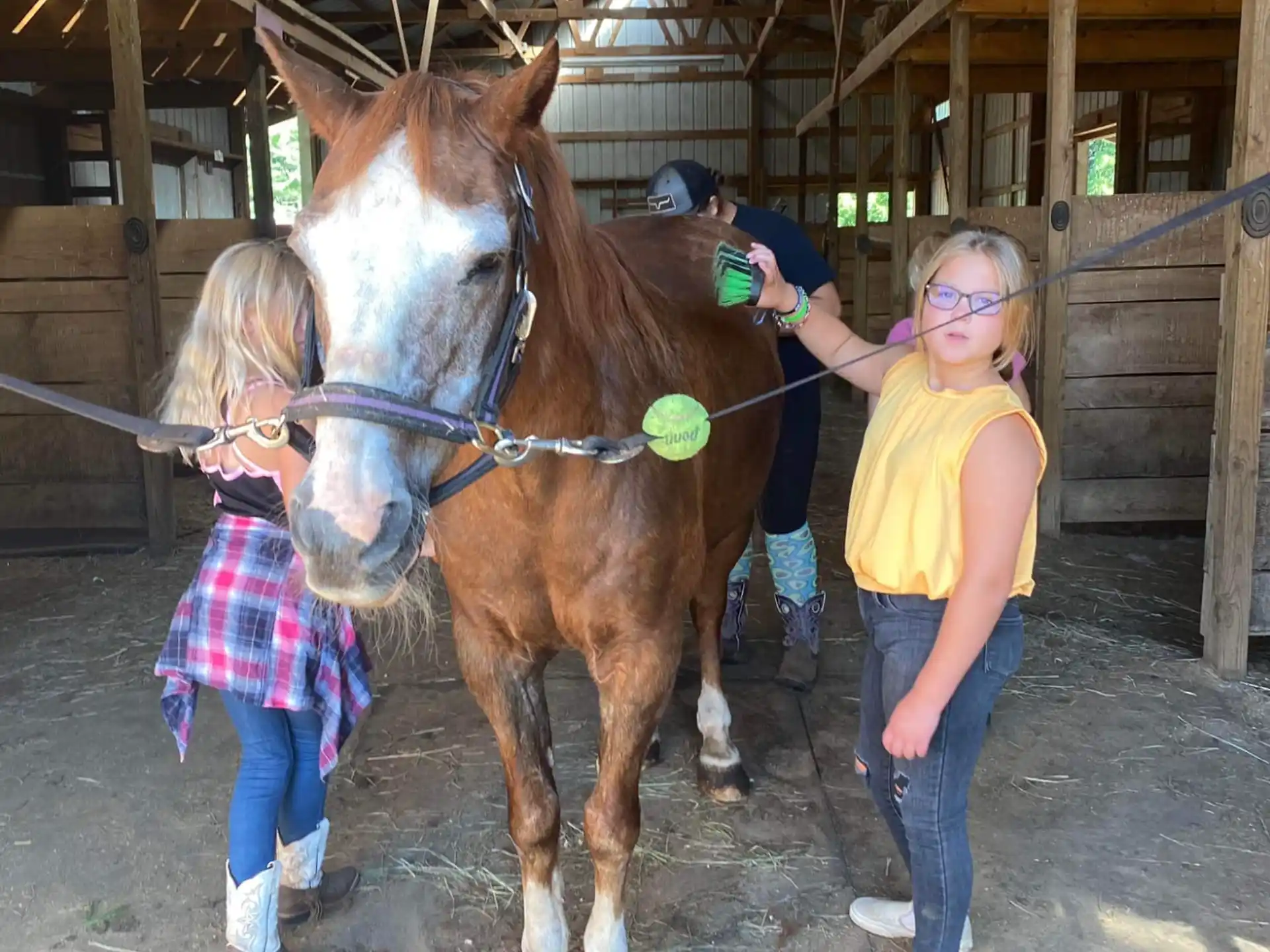 a girl holding a stick next to a horse in a barn