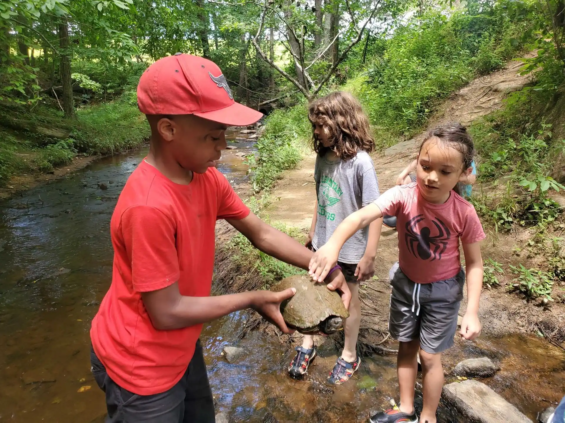 a group of children holding a turtle