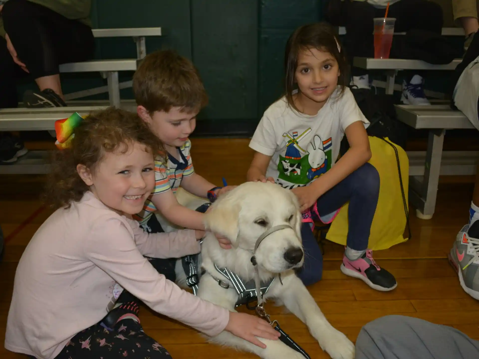 a group of children and a dog