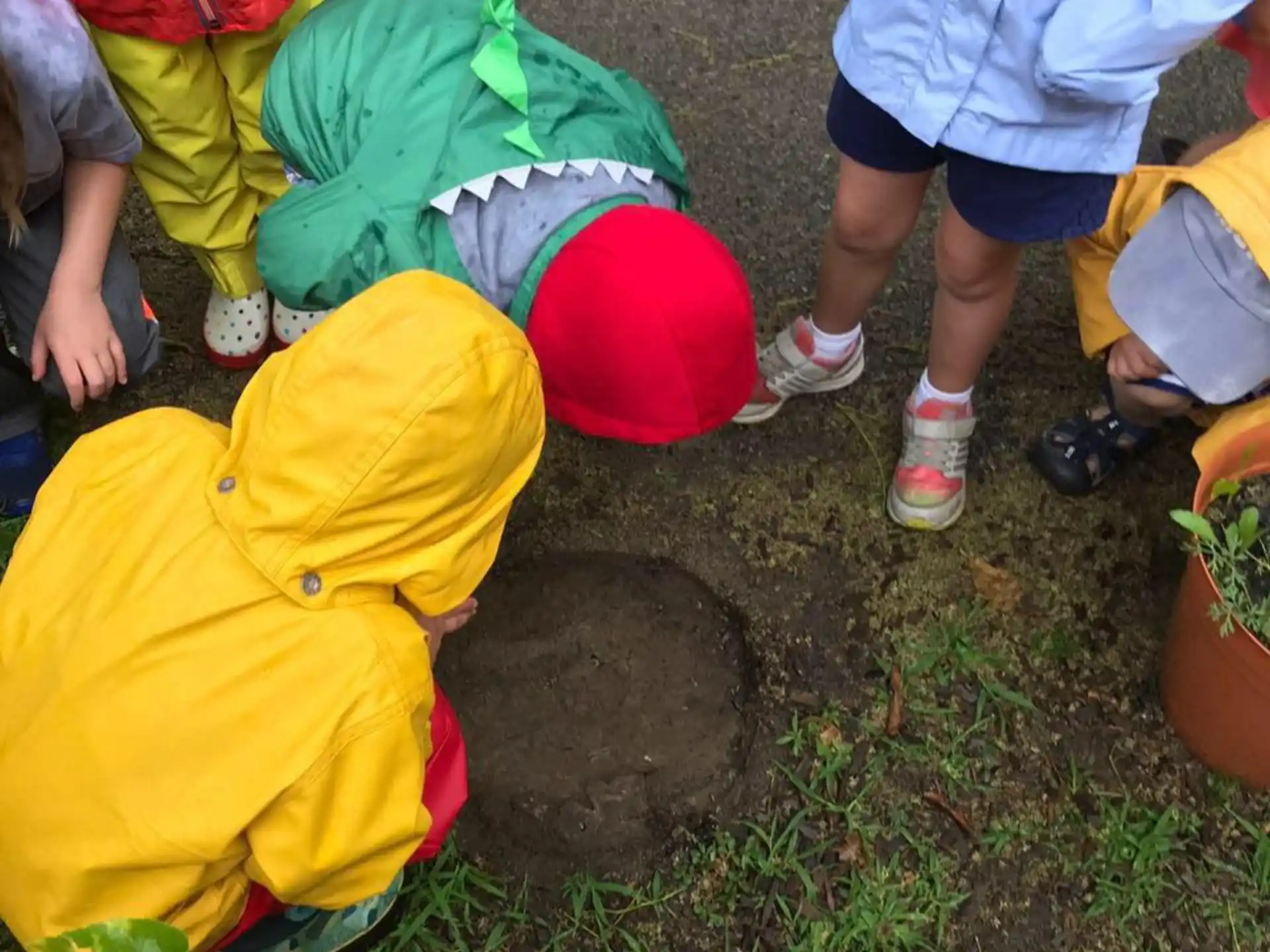 a group of people digging in the dirt