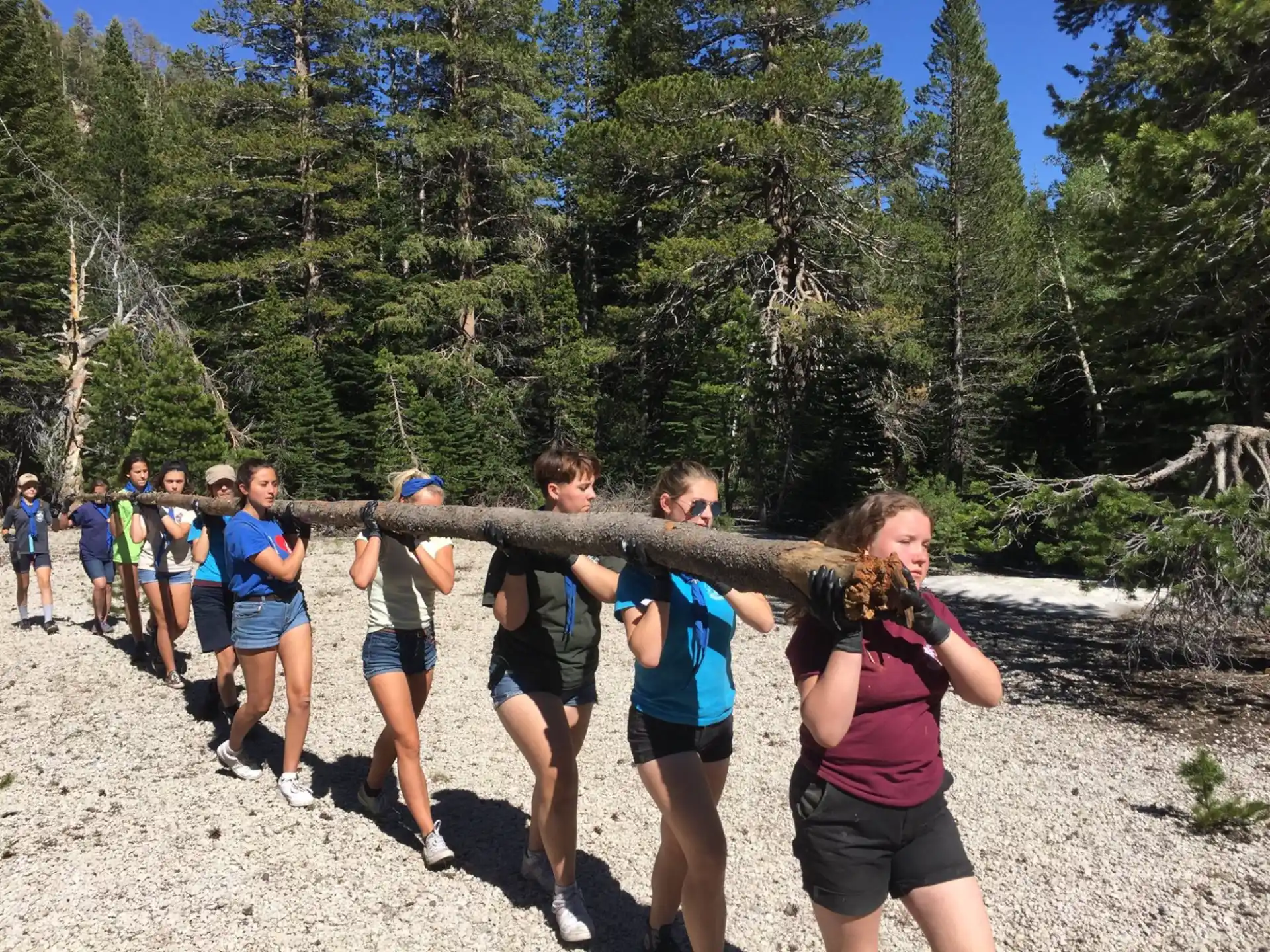 a group of people running on a dirt road with trees in the background