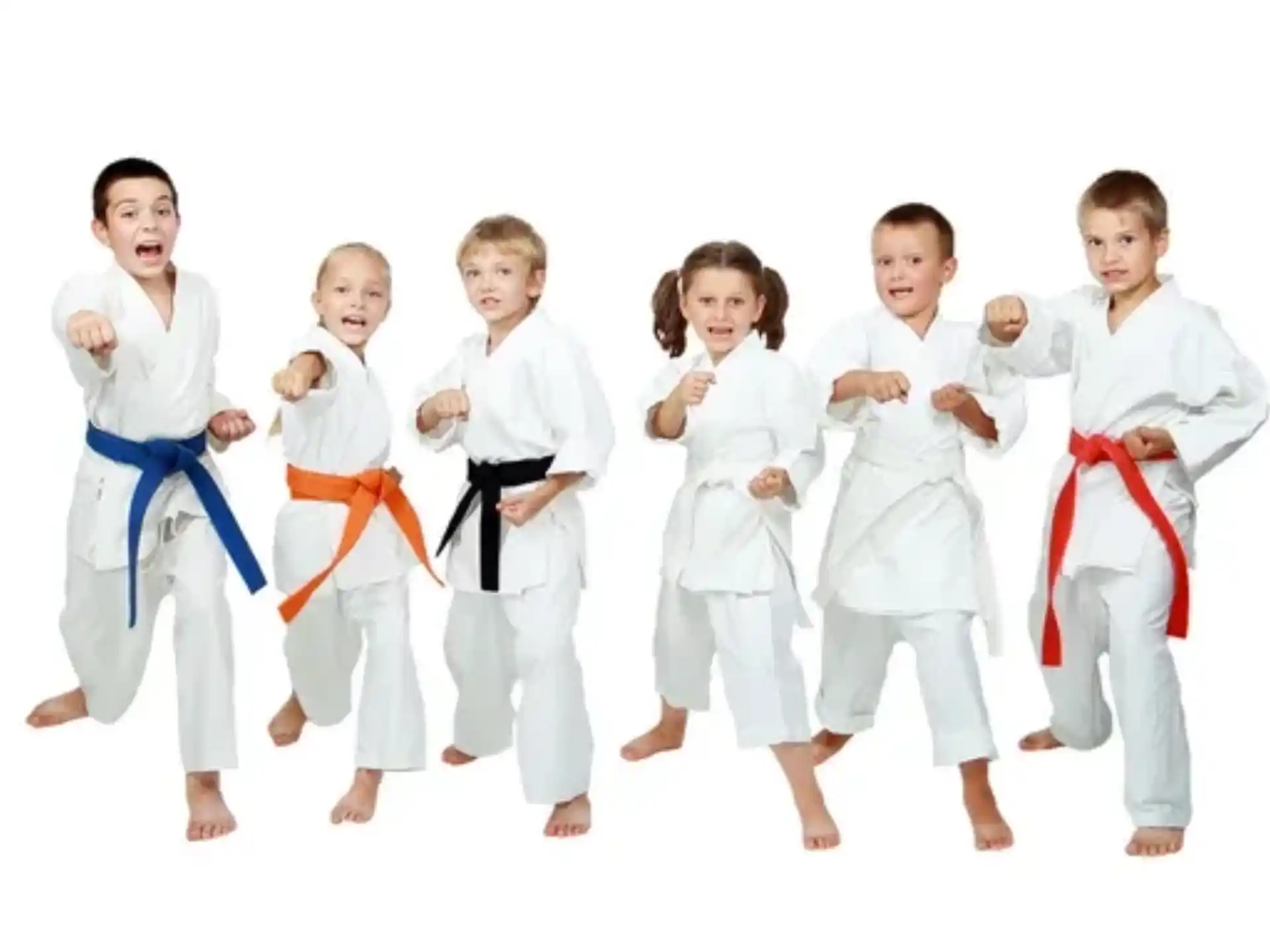 a group of kids wearing karate uniforms