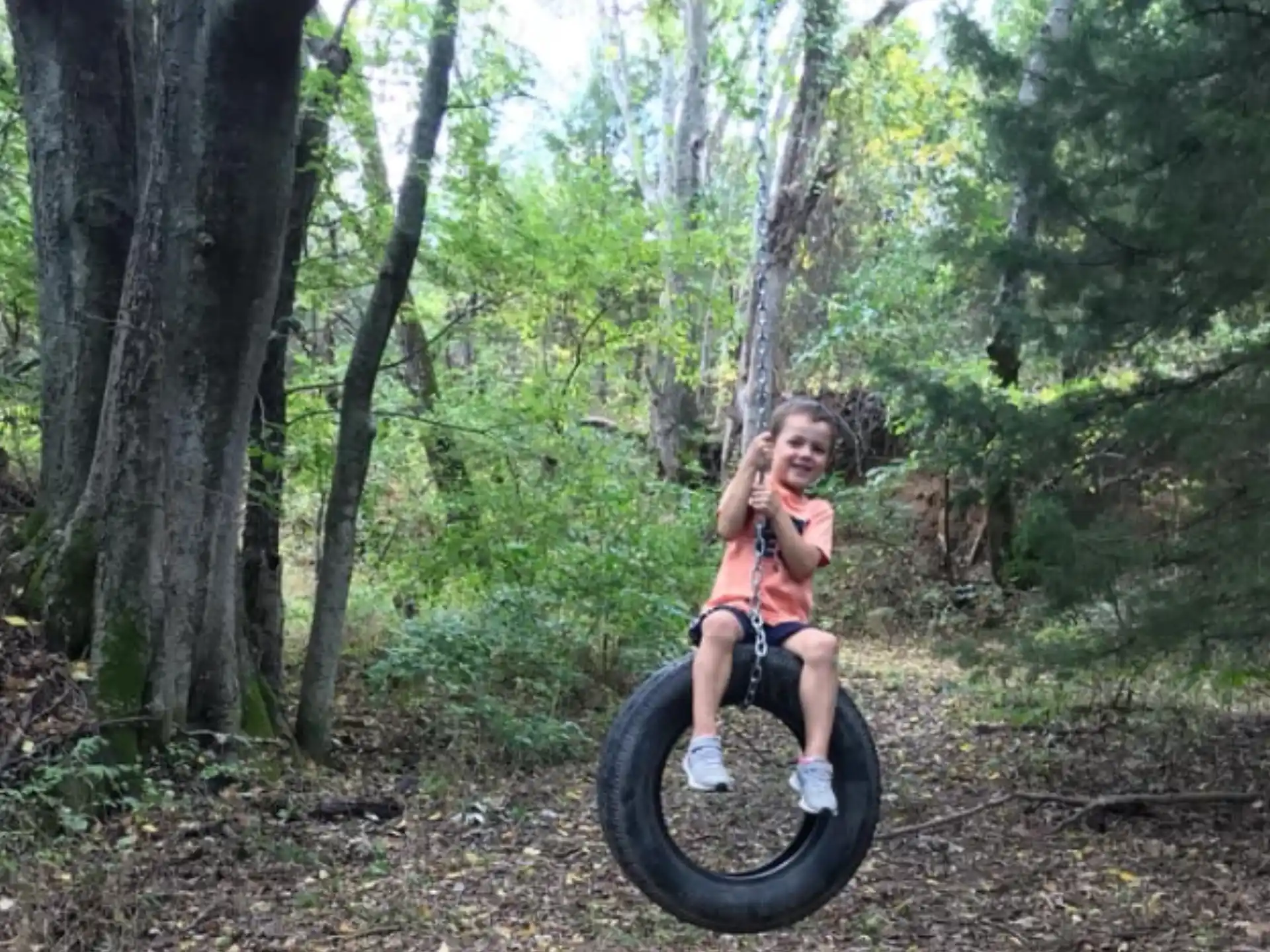 a girl on a tire swing in the woods
