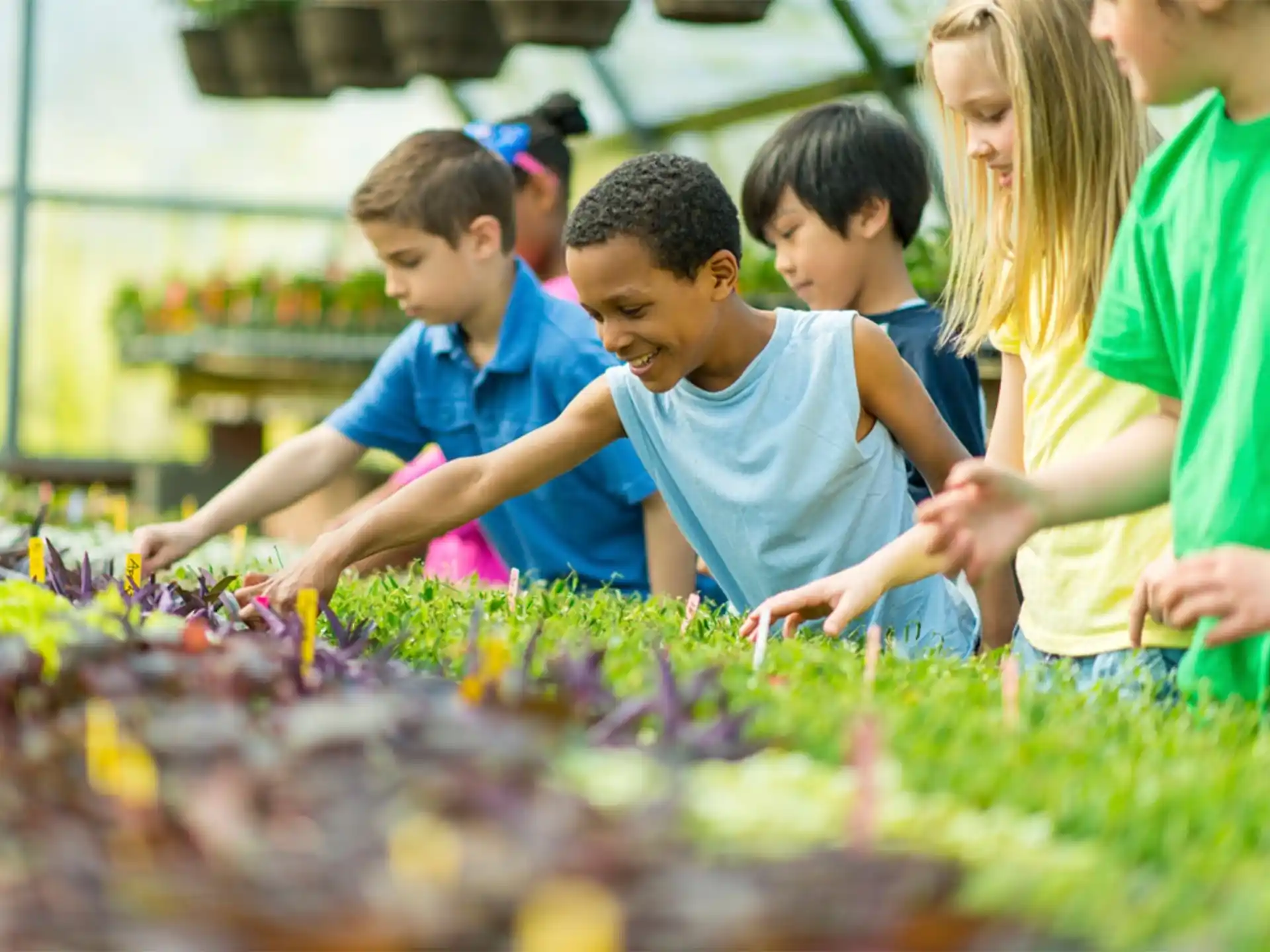 a group of people looking at plants